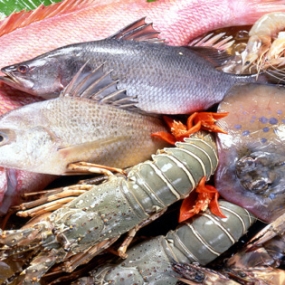 Tổng Kho Thịt Bò, Thịt Gà, Thịt Heo, Hải Sản Đông Lạnh Nhập Khẩu Tại Xã Ngân Sơn, Tỉnh Thái Nguyên