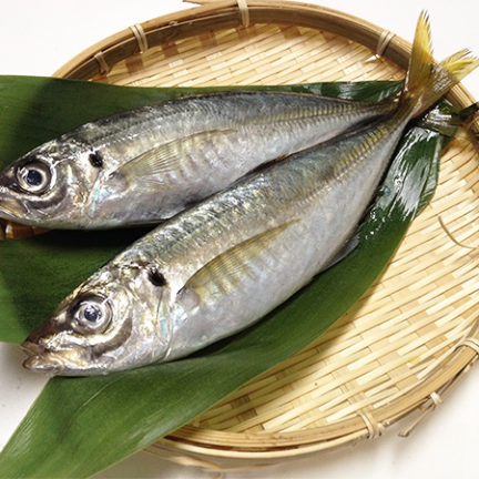 VIFOOD - Tổng Kho Thịt Bò, Thịt Gà, Thịt Heo, Hải Sản Đông Lạnh tại Phường Nam Sơn, Tỉnh Bắc Ninh