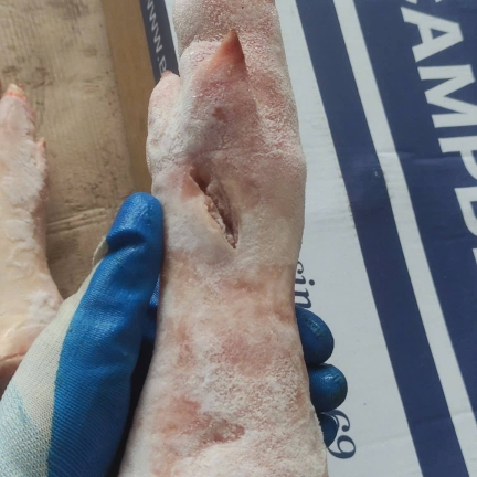 product-thumb