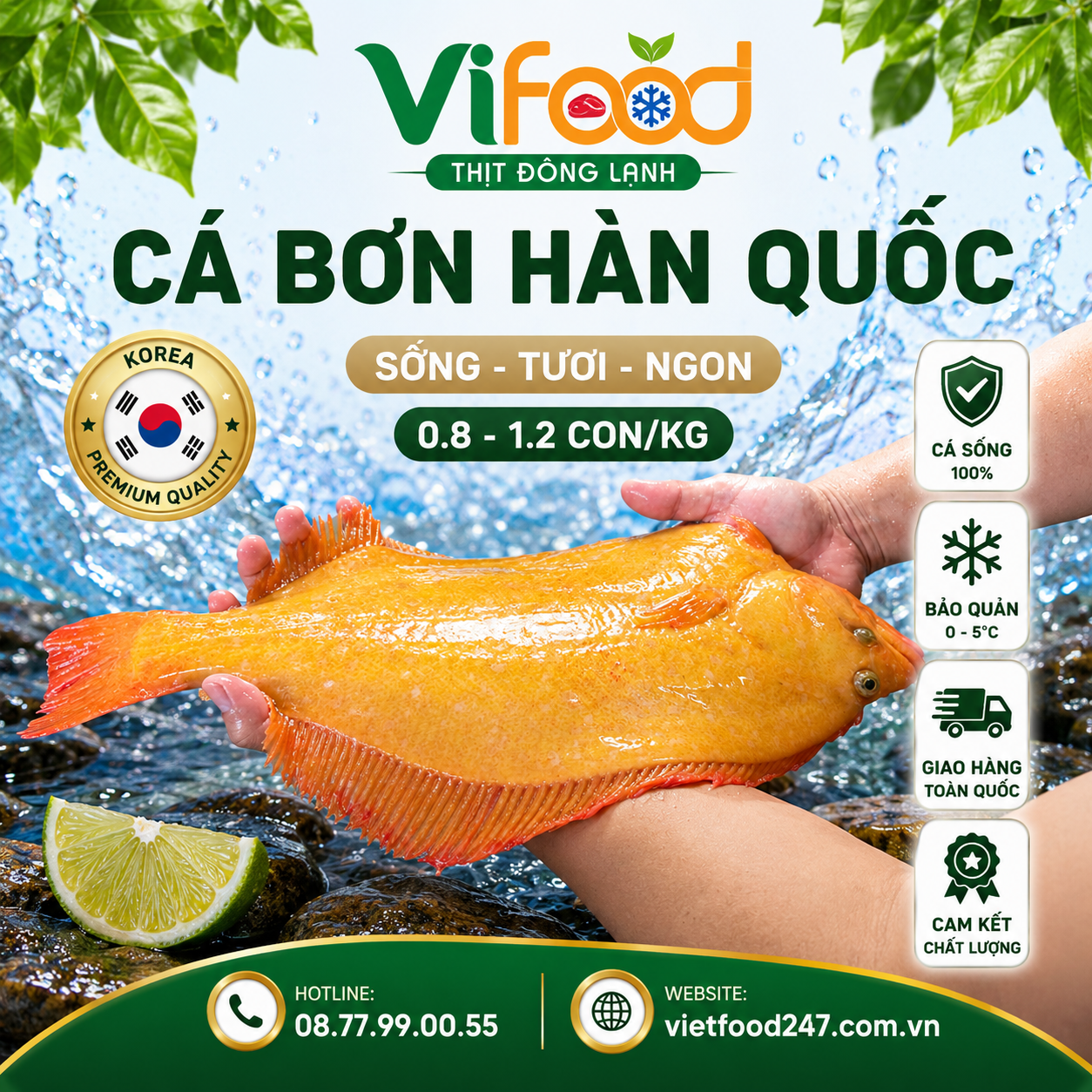 Cá Bơn Hàn Quốc Sống