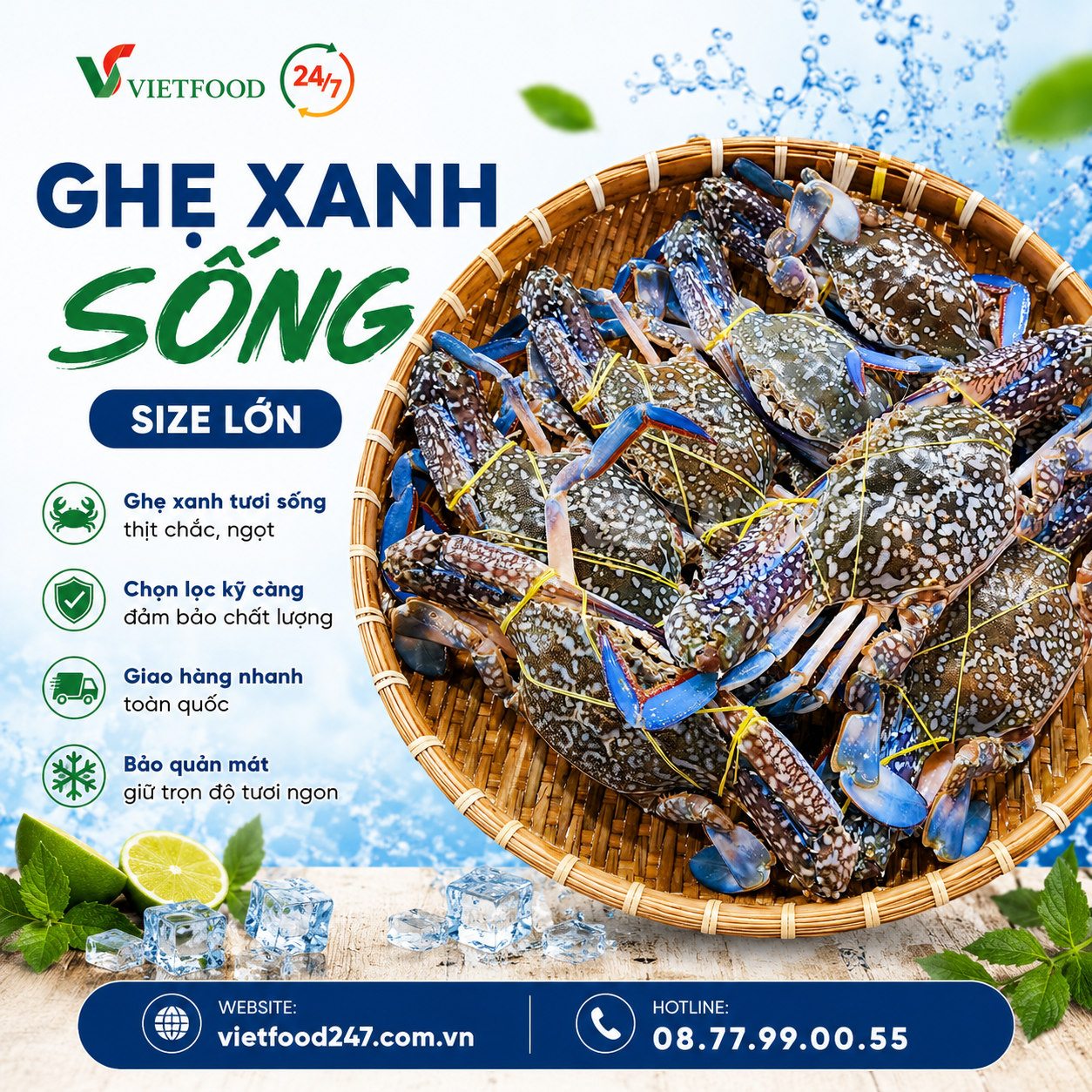 Ghẹ Xanh Sống Việt Nam Size 2-4 Con/kg Giá Sỉ
