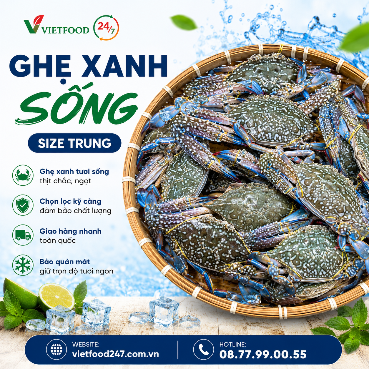 Ghẹ Xanh Sống Size 5-6 Con/kg Giá Sỉ