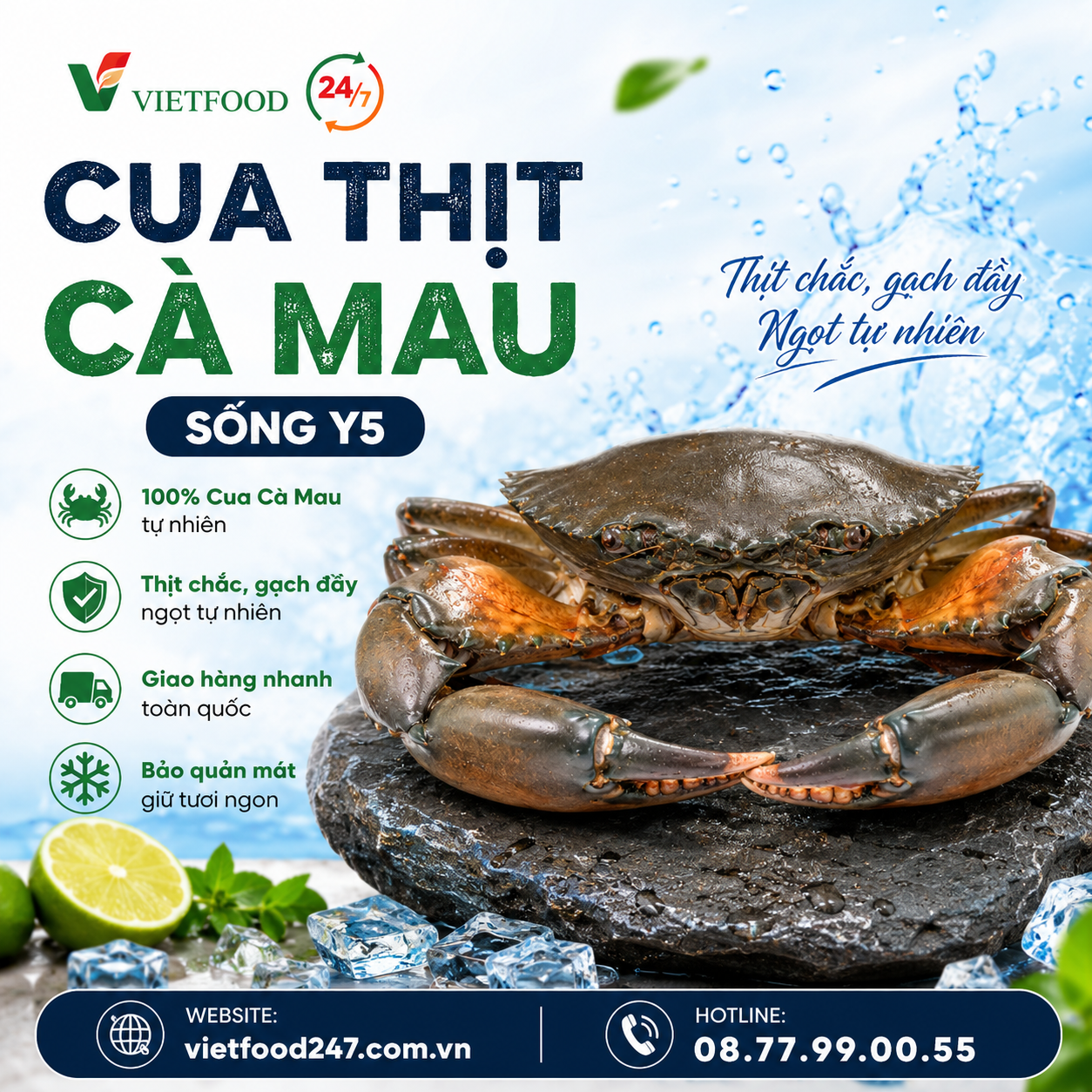 Cua Thịt Cà Mau Y5 Sống 500gr/con Giá Sỉ
