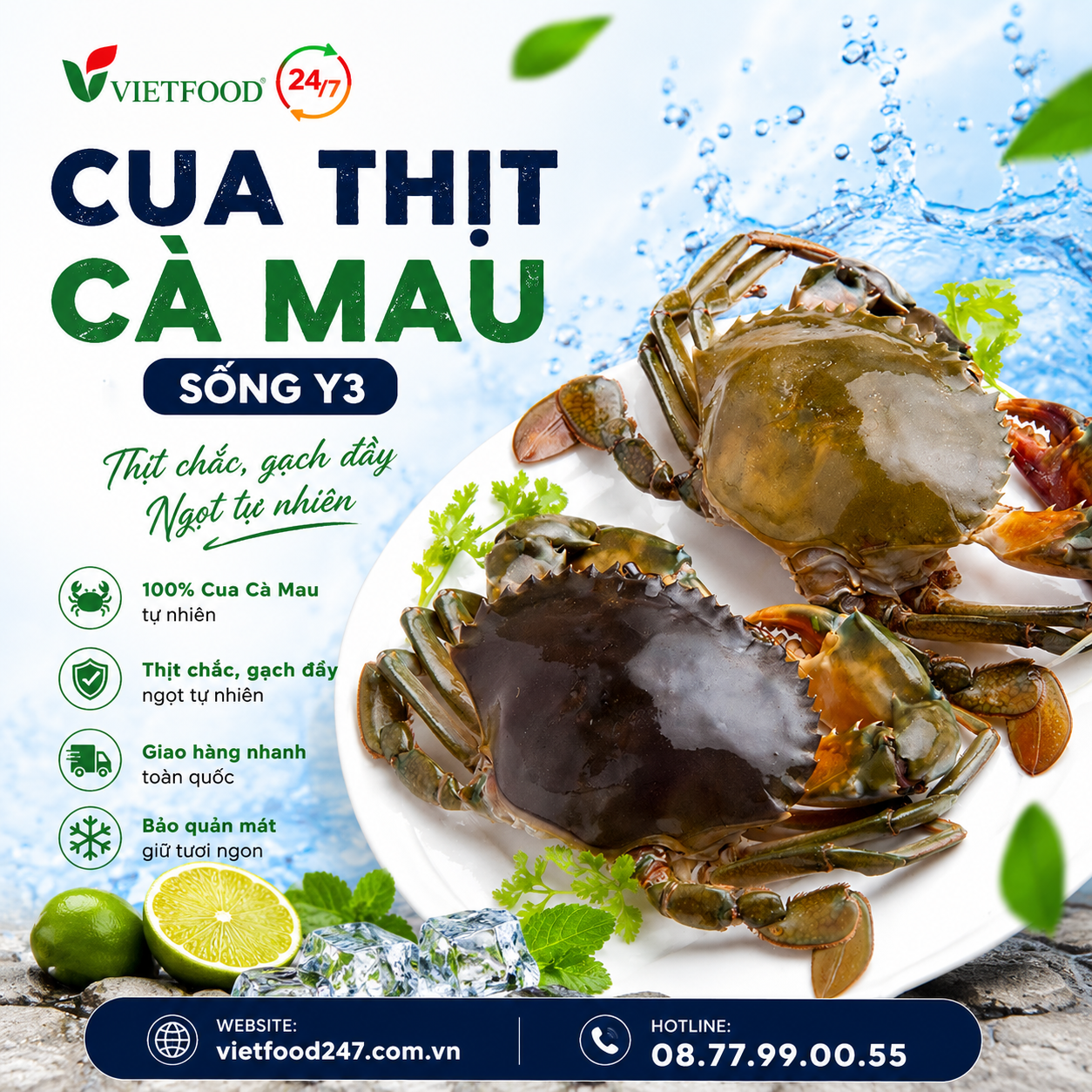 Cua Thịt Cà Mau Y3 Sống 300gr/con Giá Sỉ