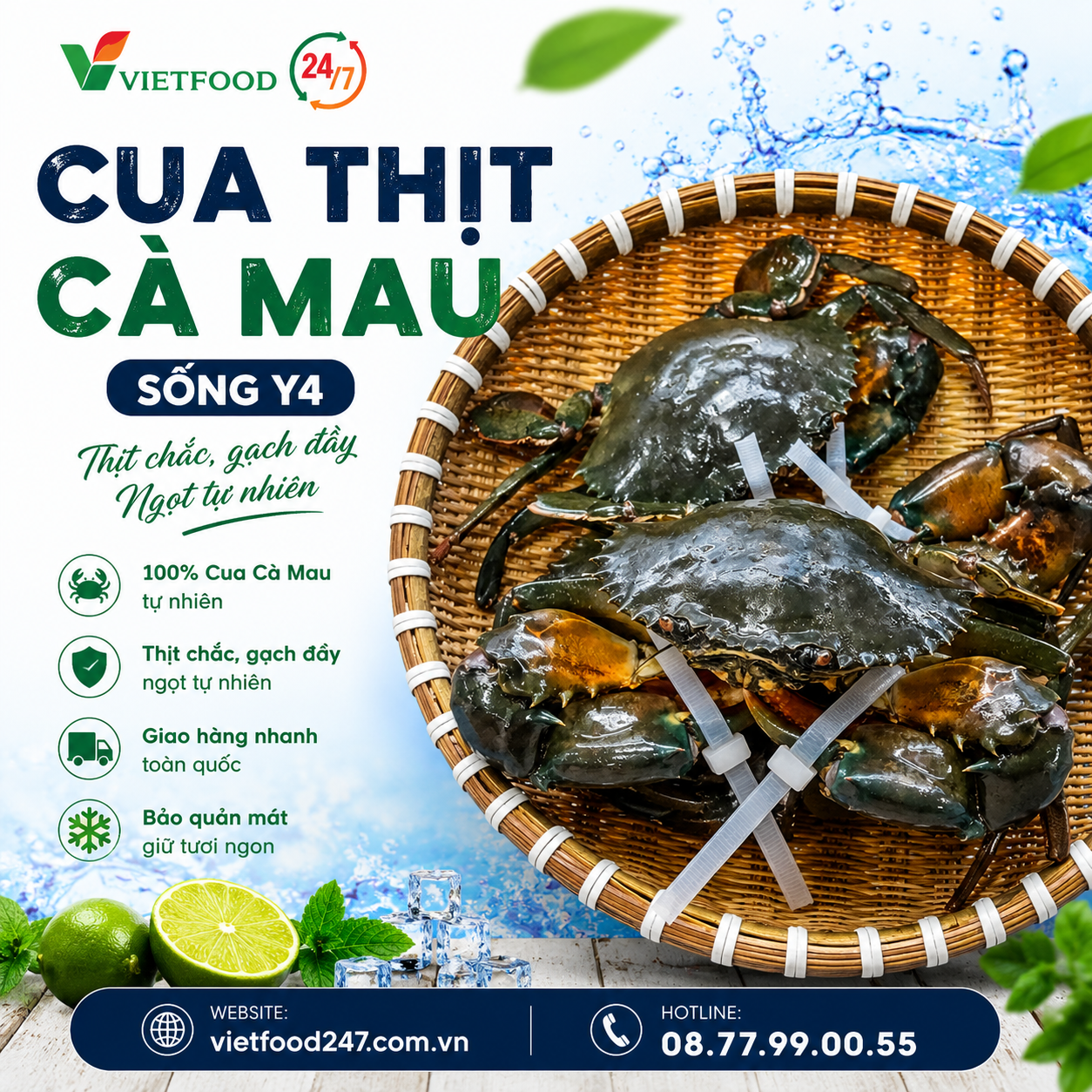 Cua Thịt Cà Mau Sống Y4