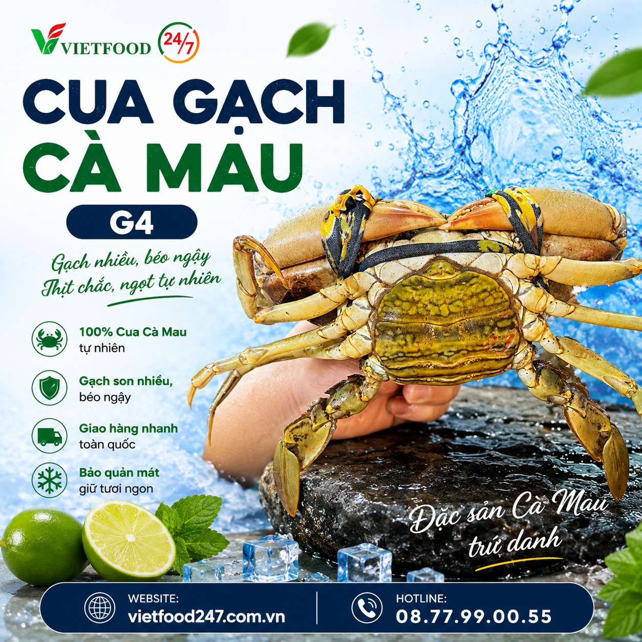 Cua Gạch Cà Mau G4