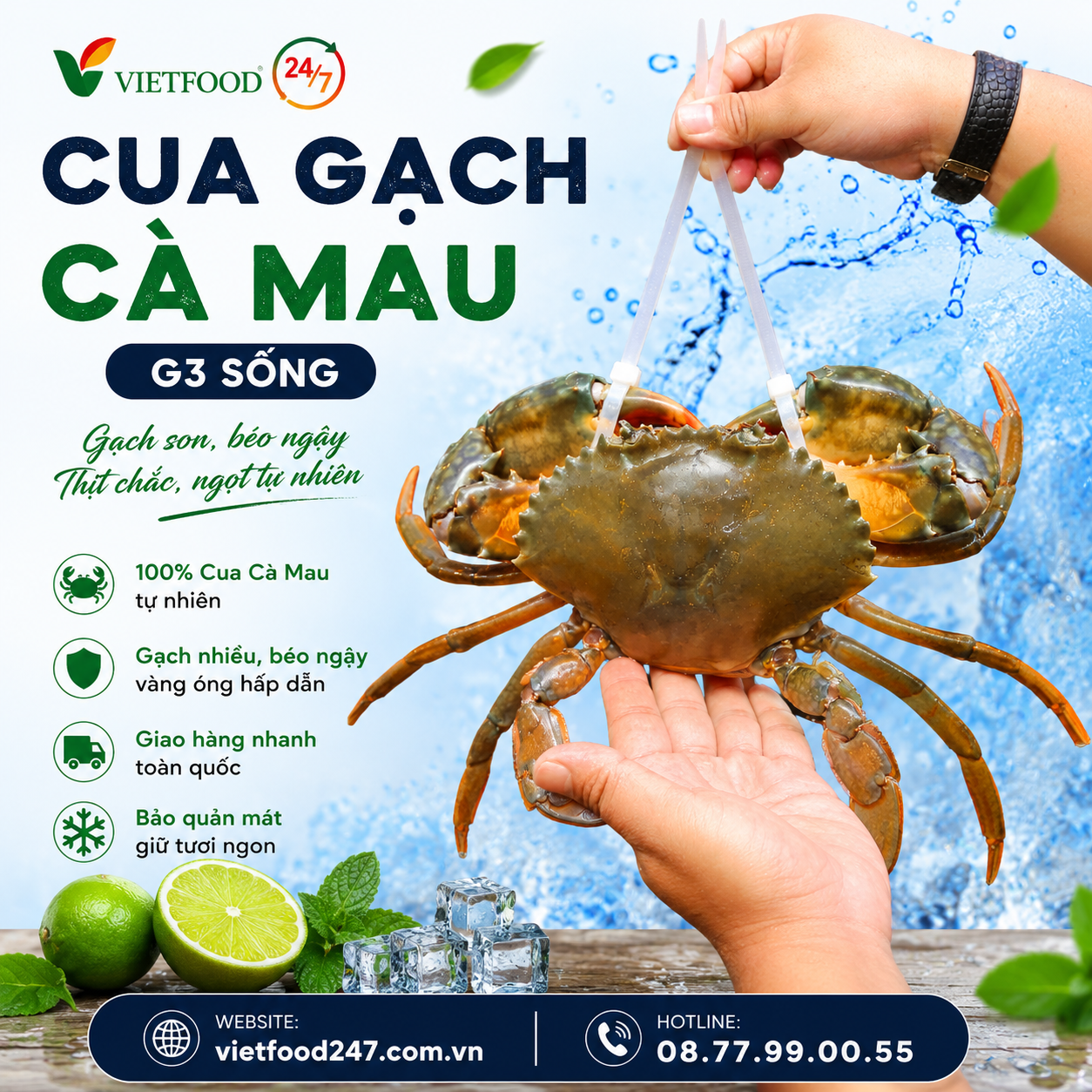   Cua Gạch Cà Mau G3