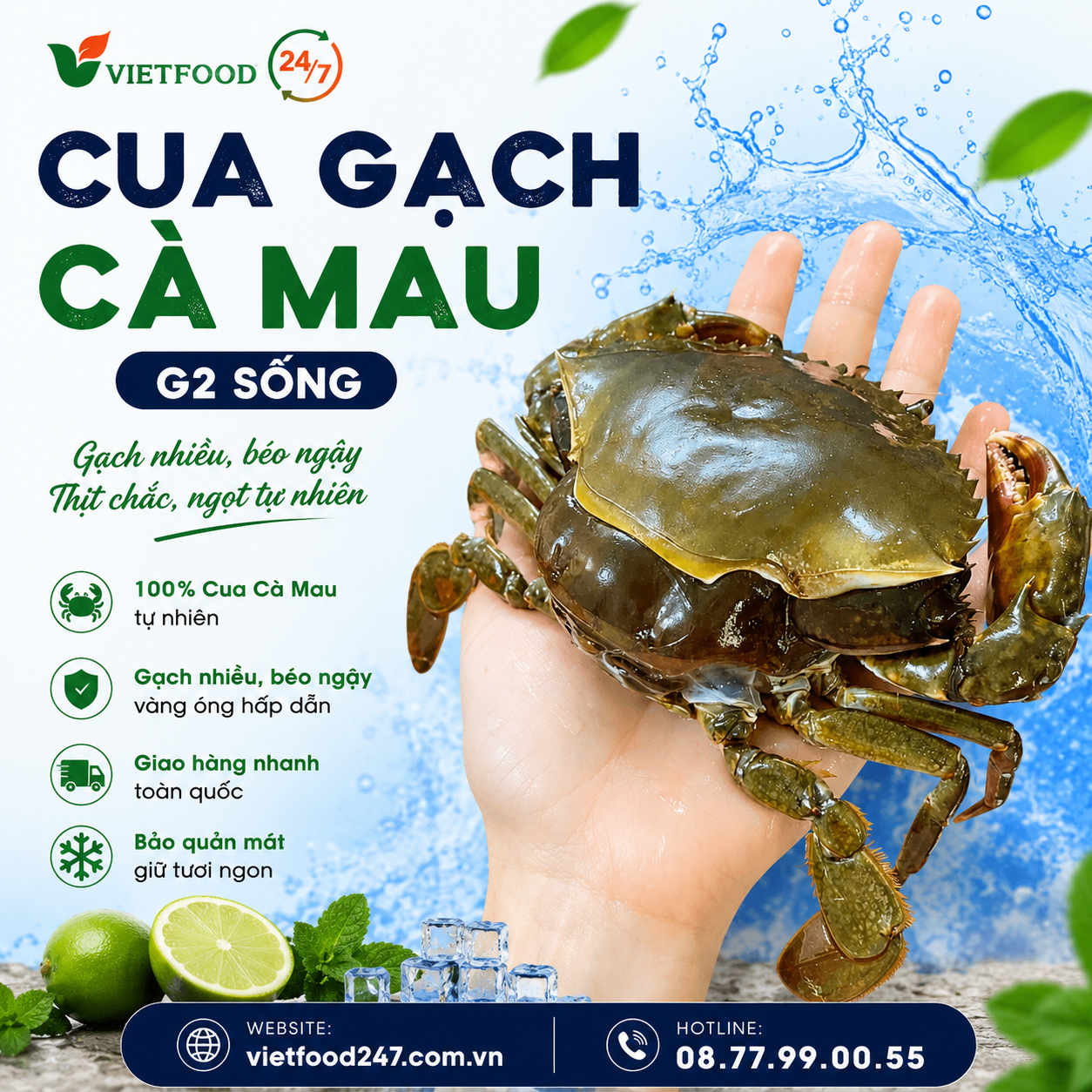 Cua Gạch Cà Mau G2 sống
