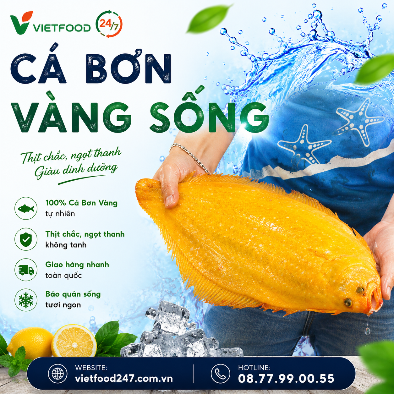 Cá Bơn Vàng Sống