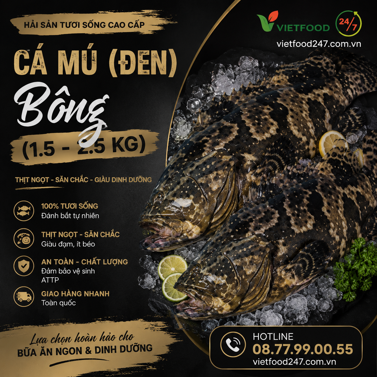 Cá Mú (đen) Bông (1.5 - 2.5 Kg)