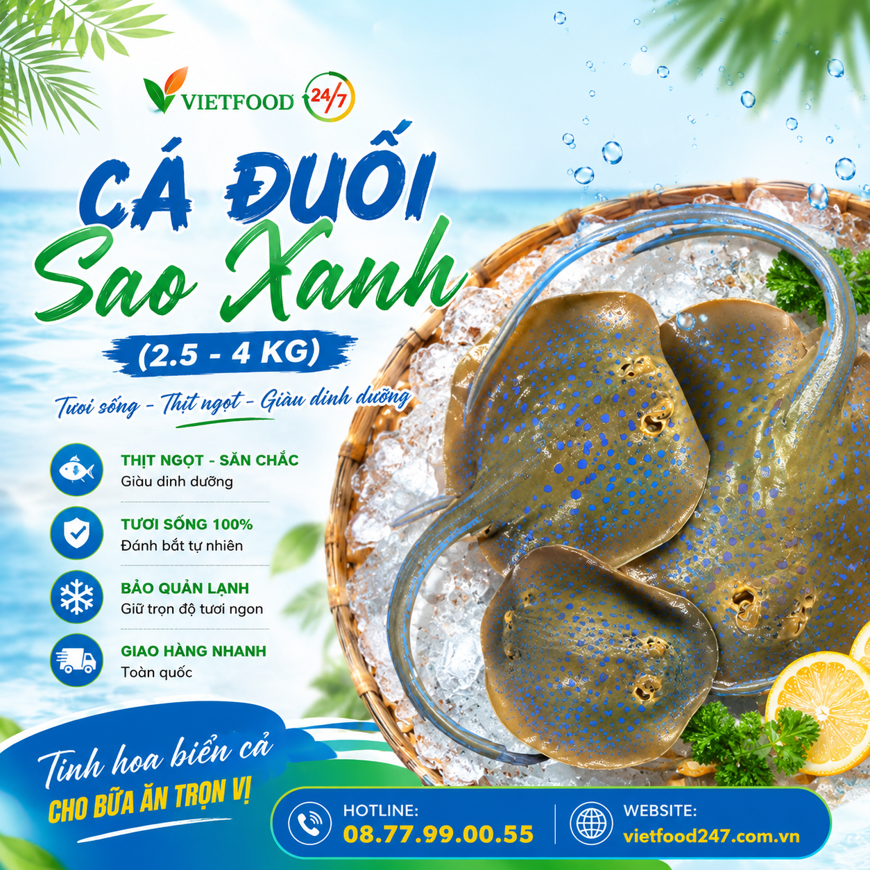 Cá Đuối Sao Xanh (2.5 - 4 kg)