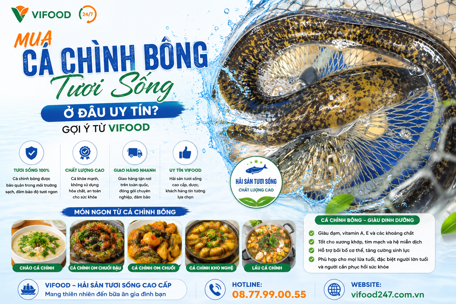 Mua Cá Chình Bông Tươi Sống Ở Đâu Uy Tín? Gợi Ý Từ Vifood