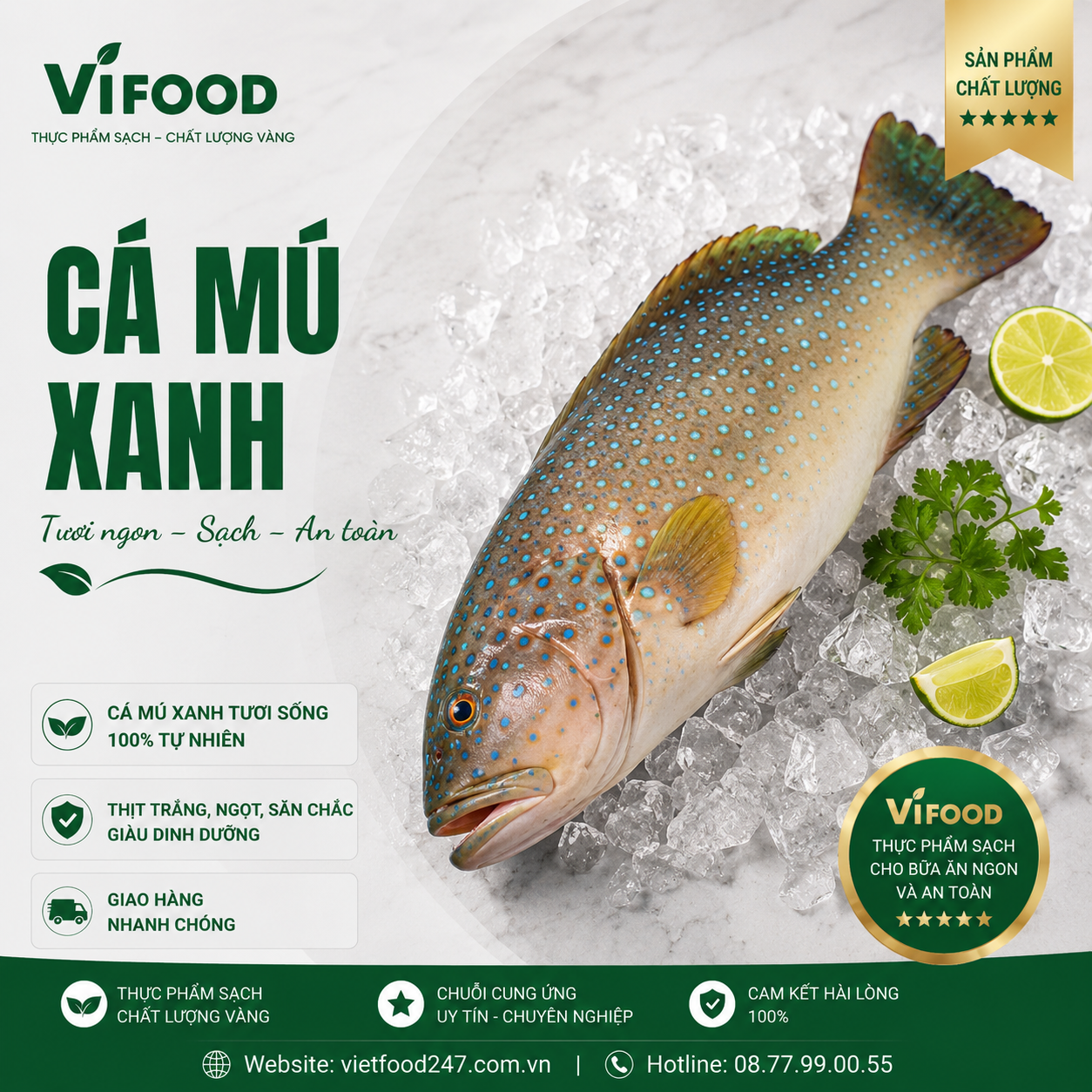 Cá mú xanh