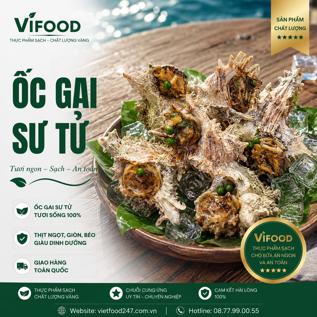 Ốc gai sư tử