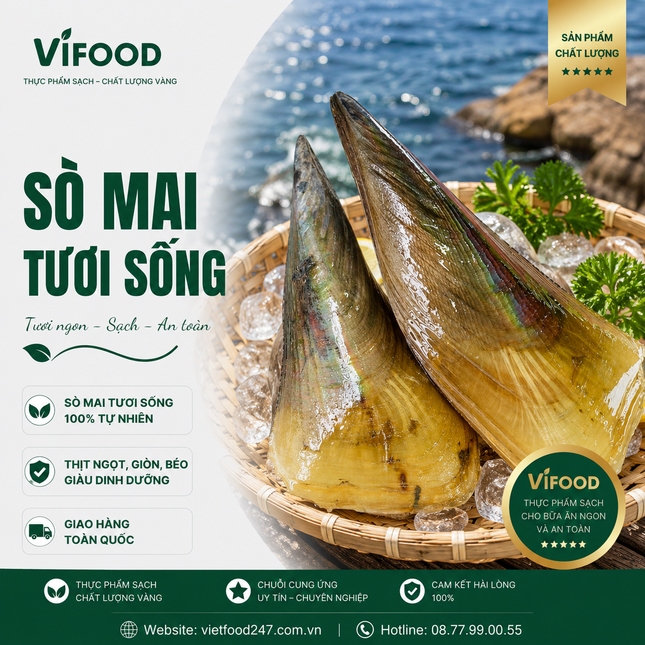 Sò Mai Tươi Sống