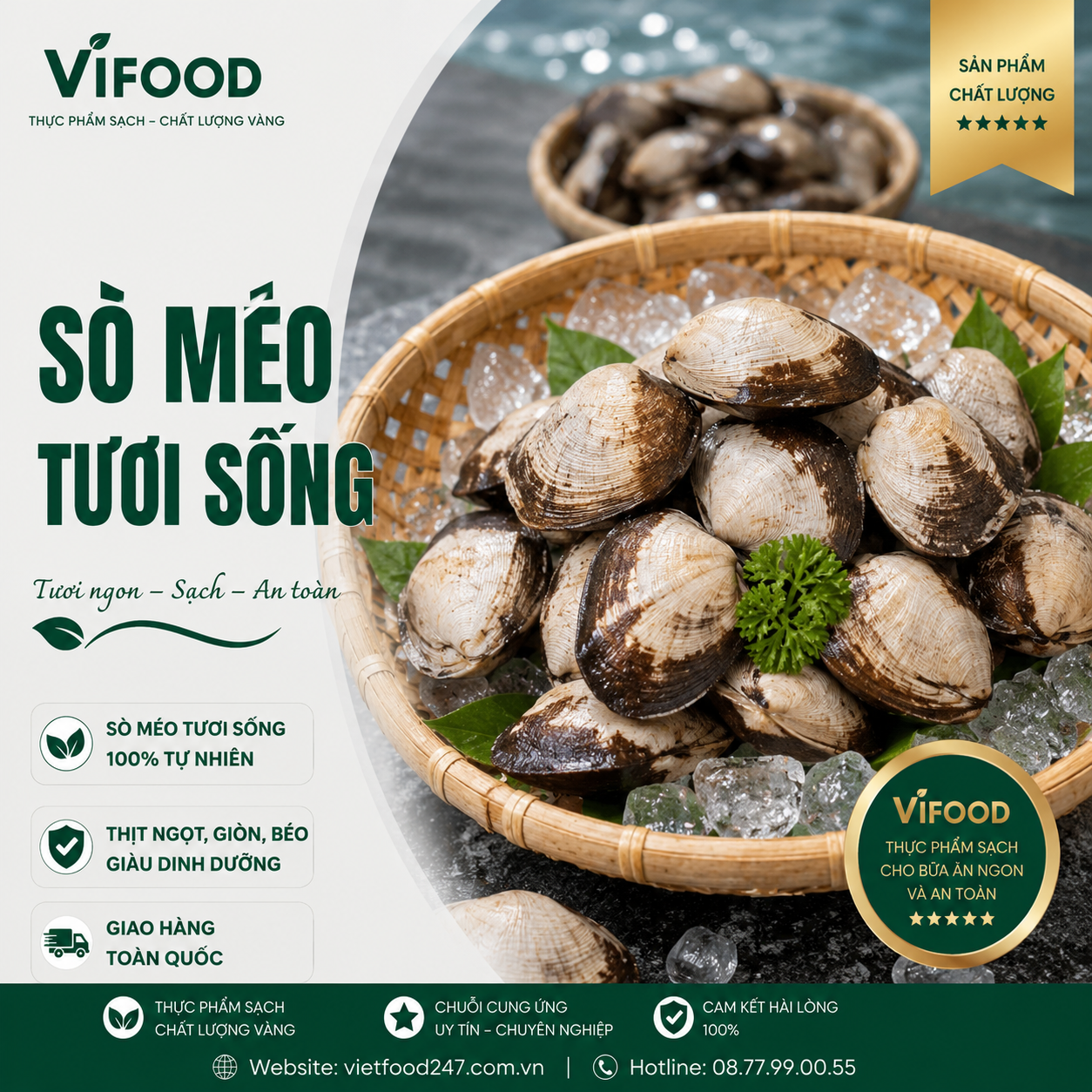 Sò Méo Tươi Sống