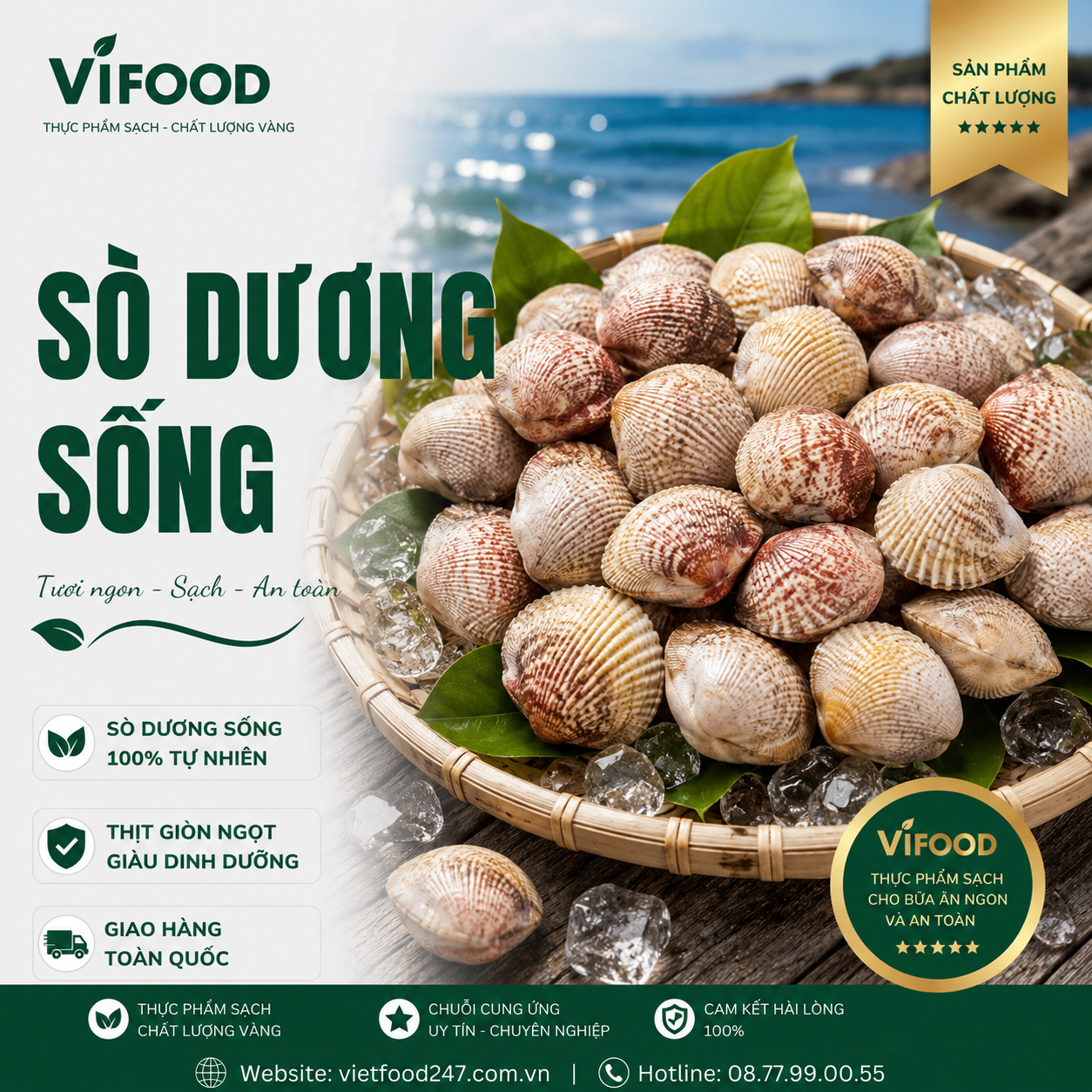 Sò Dương Tươi Sống