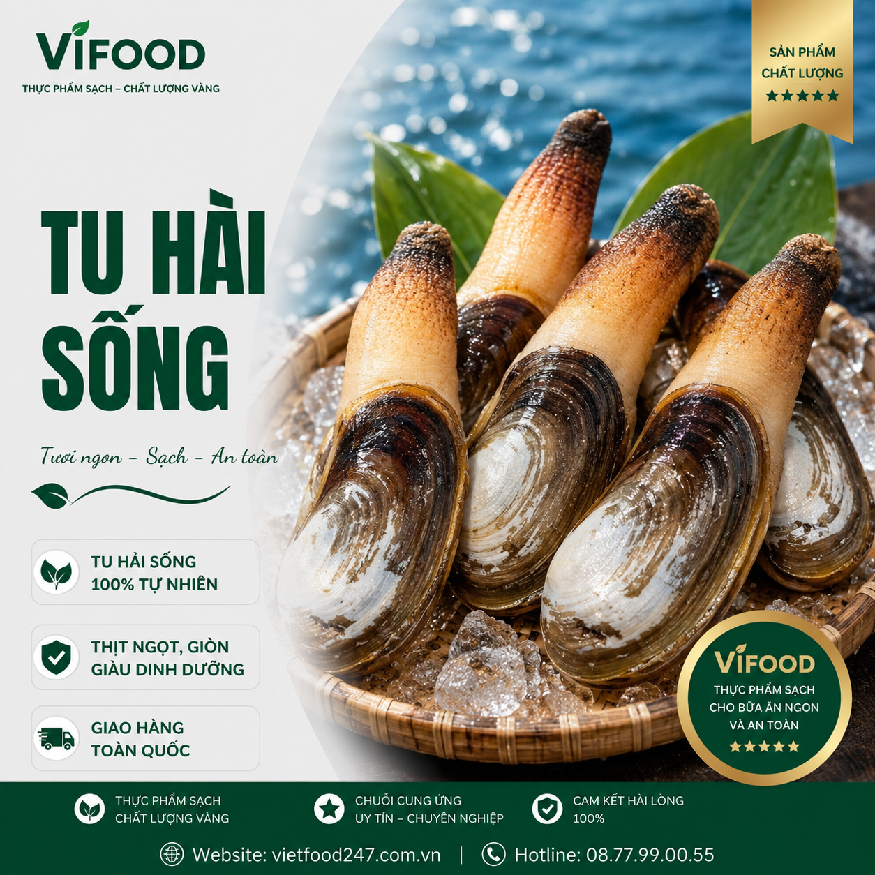 Tu Hài Tươi Sống