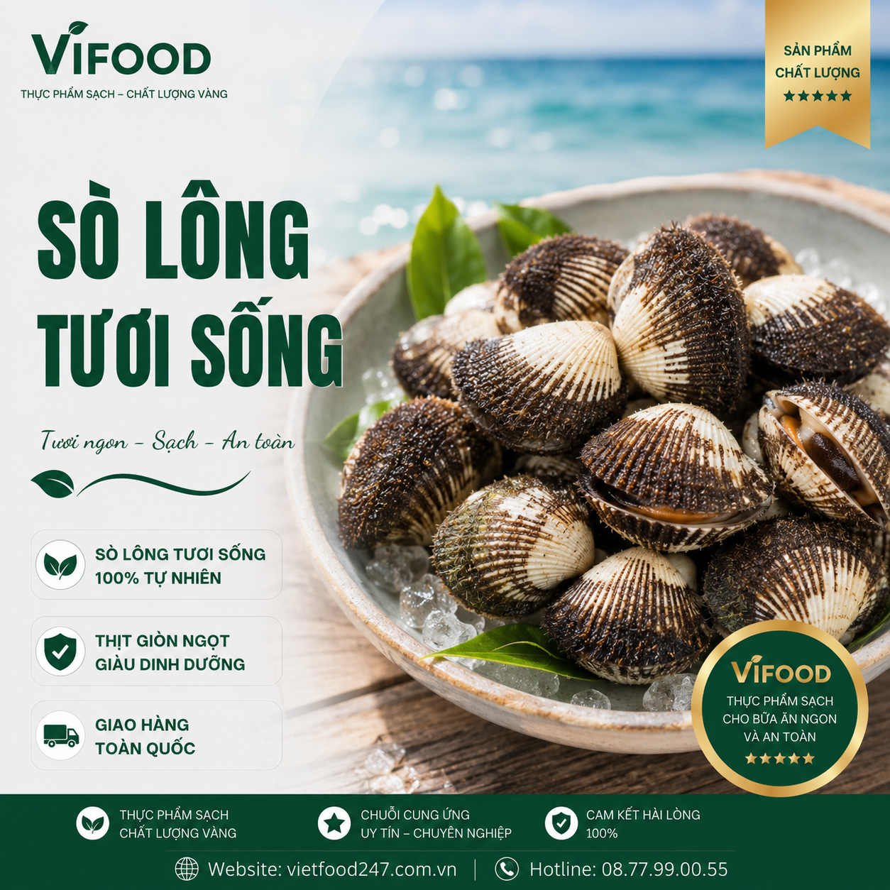 Sò Lông Tươi Sống