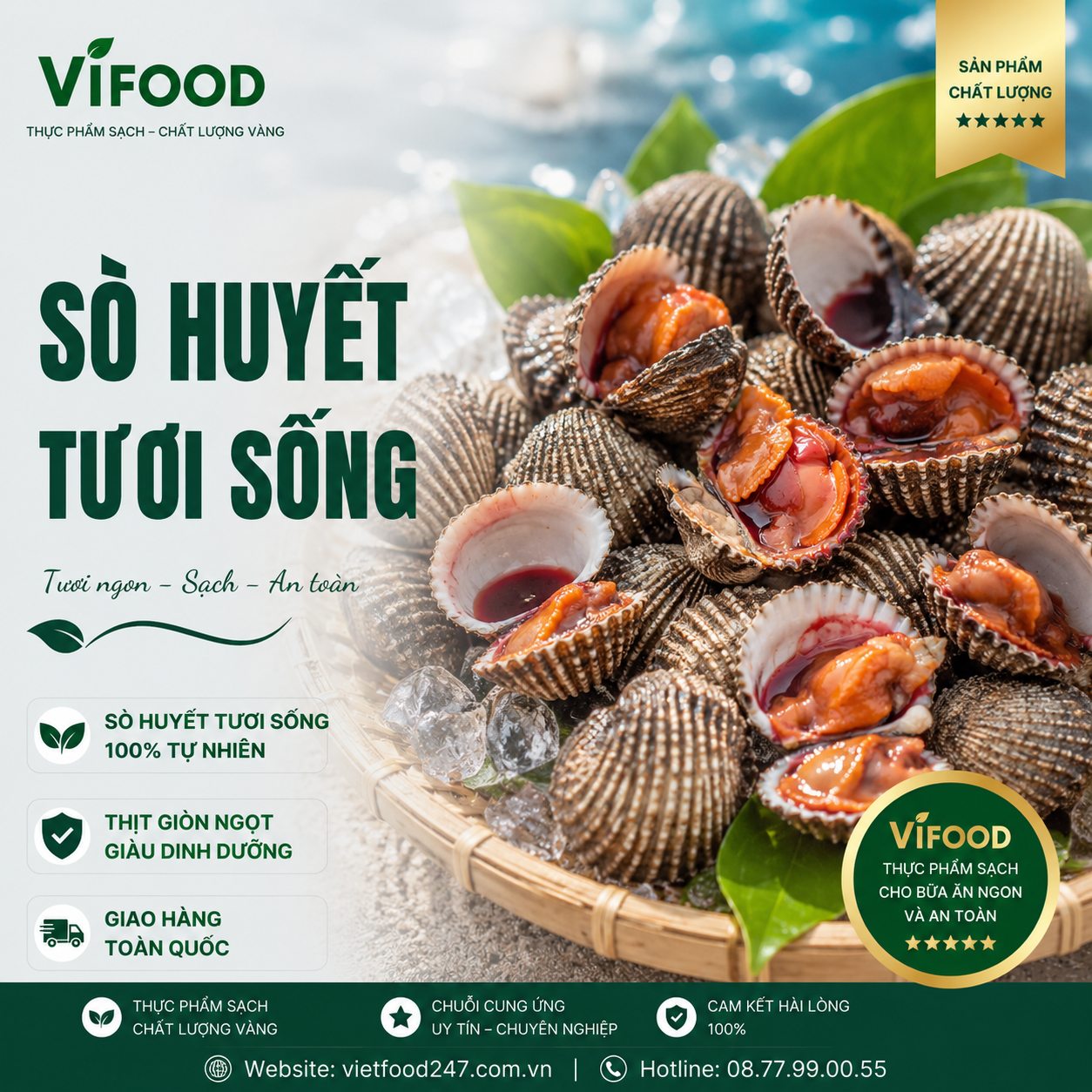 Sò Huyết Tươi Sống