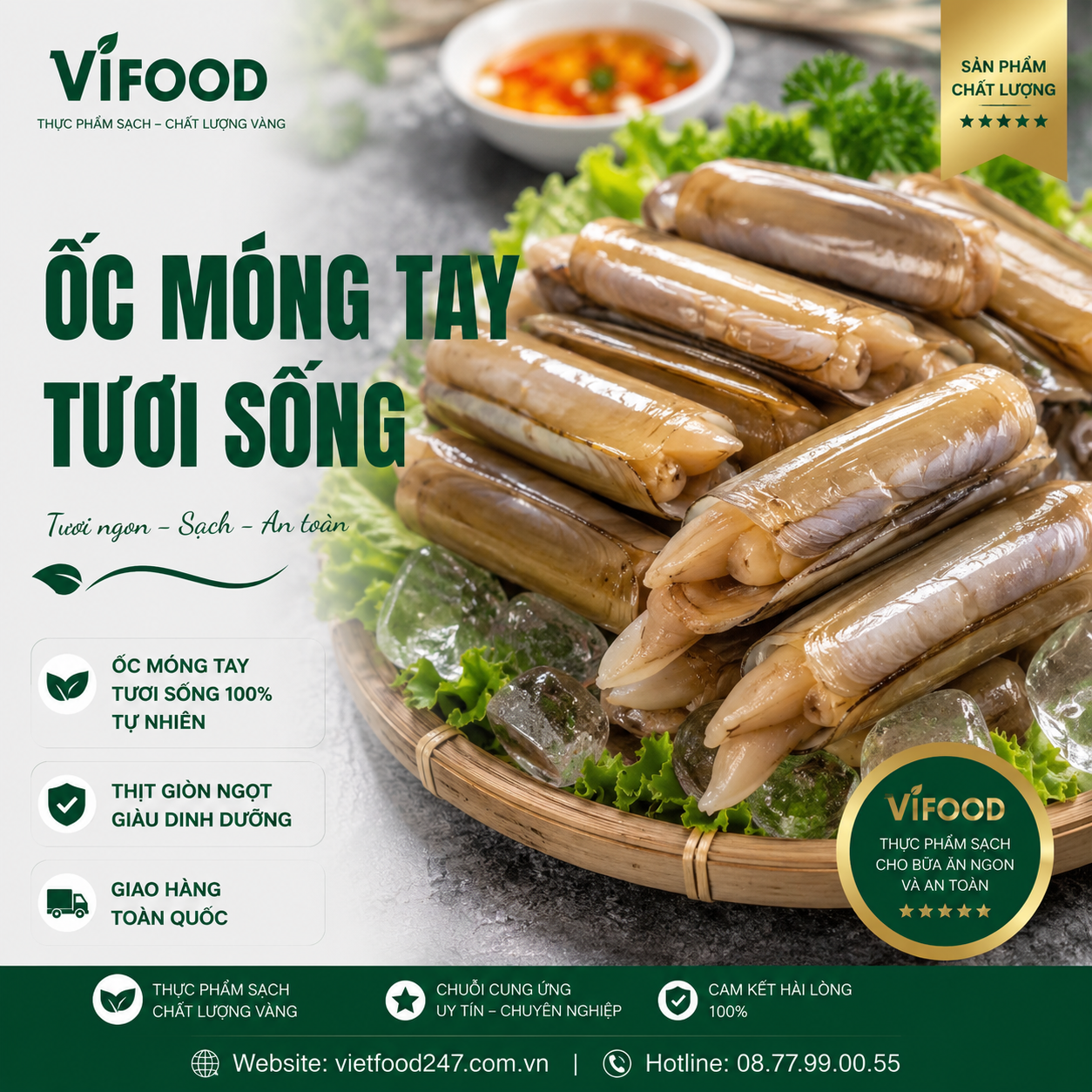 Ốc Móng Tay