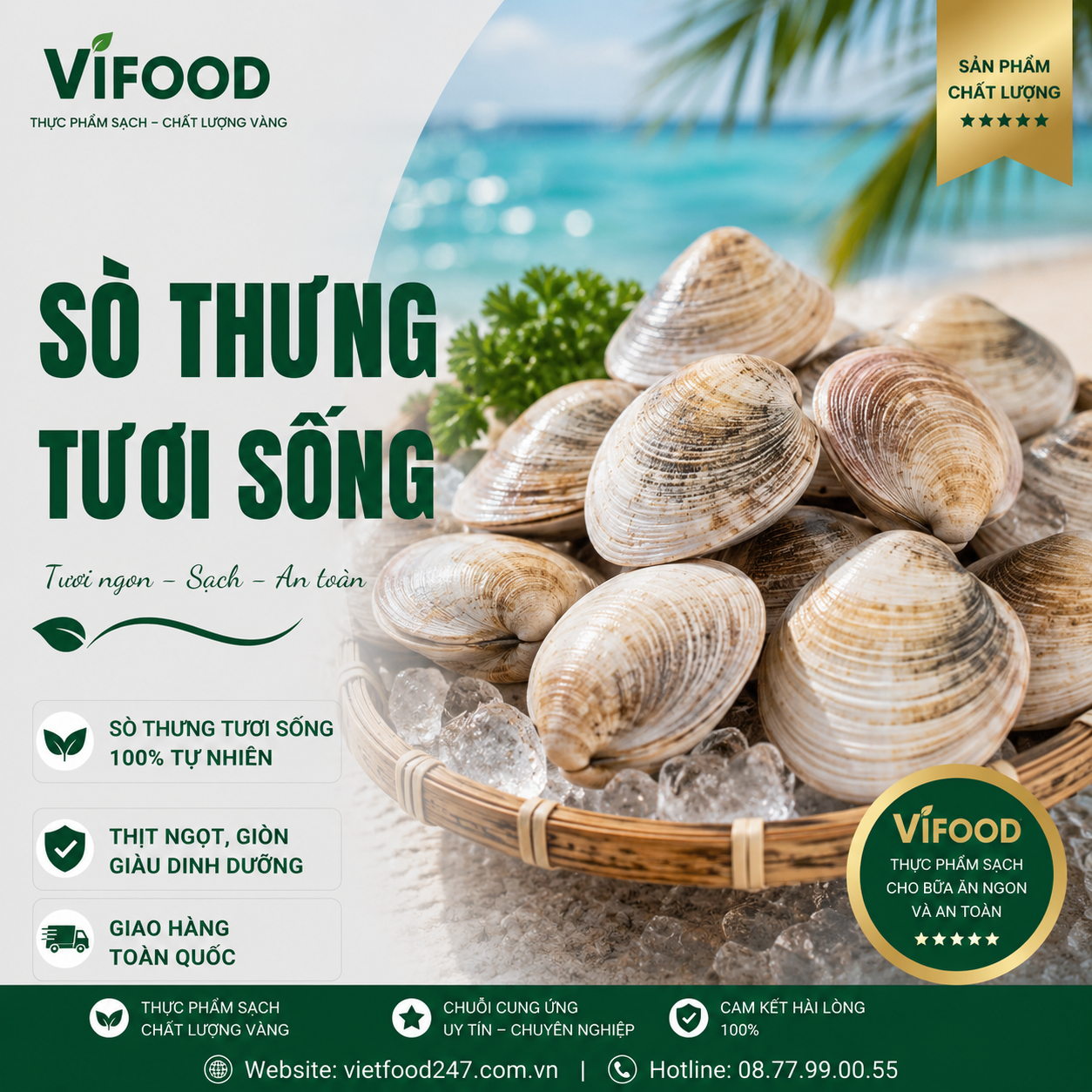 Sò Thưng Sống