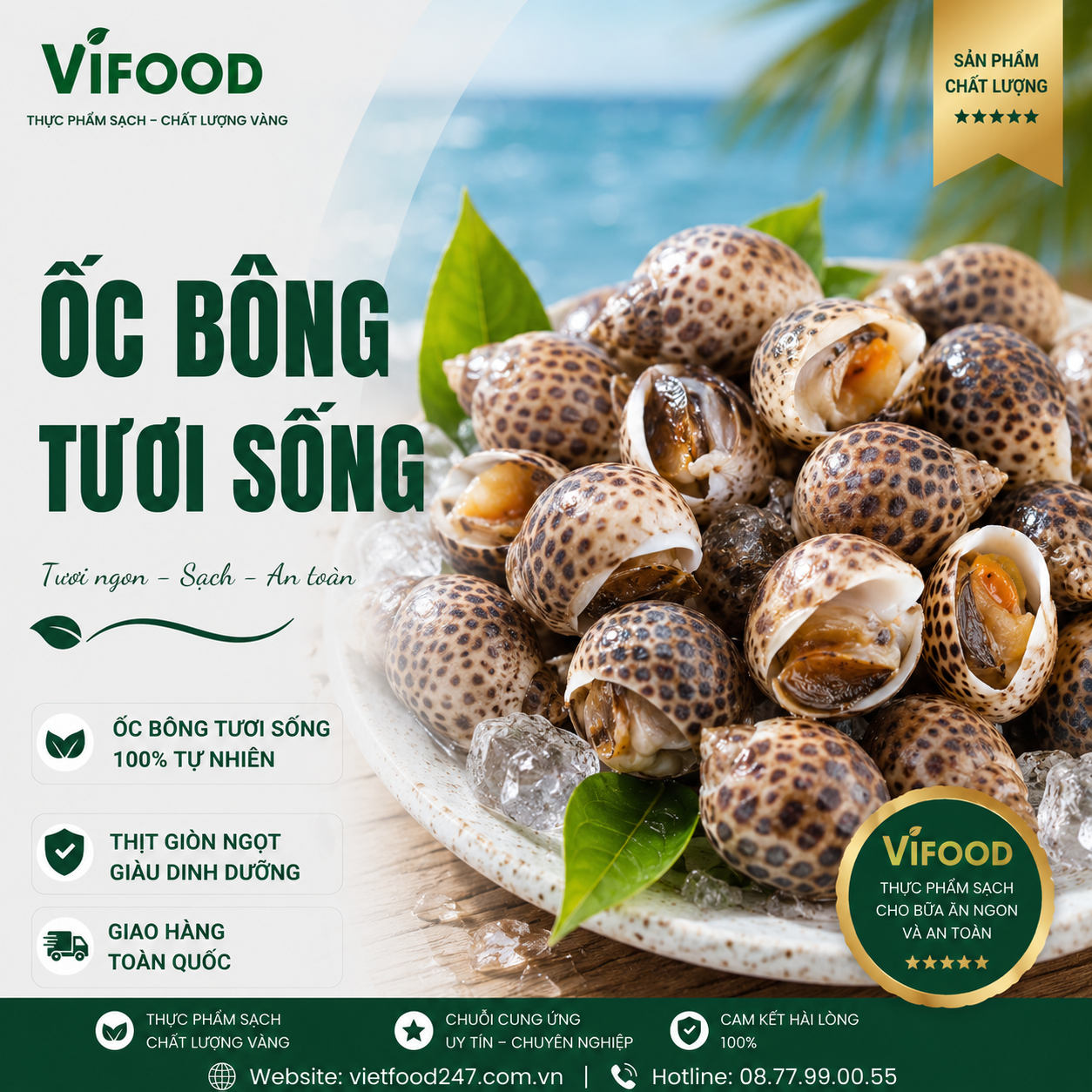 Ốc Bông Sống