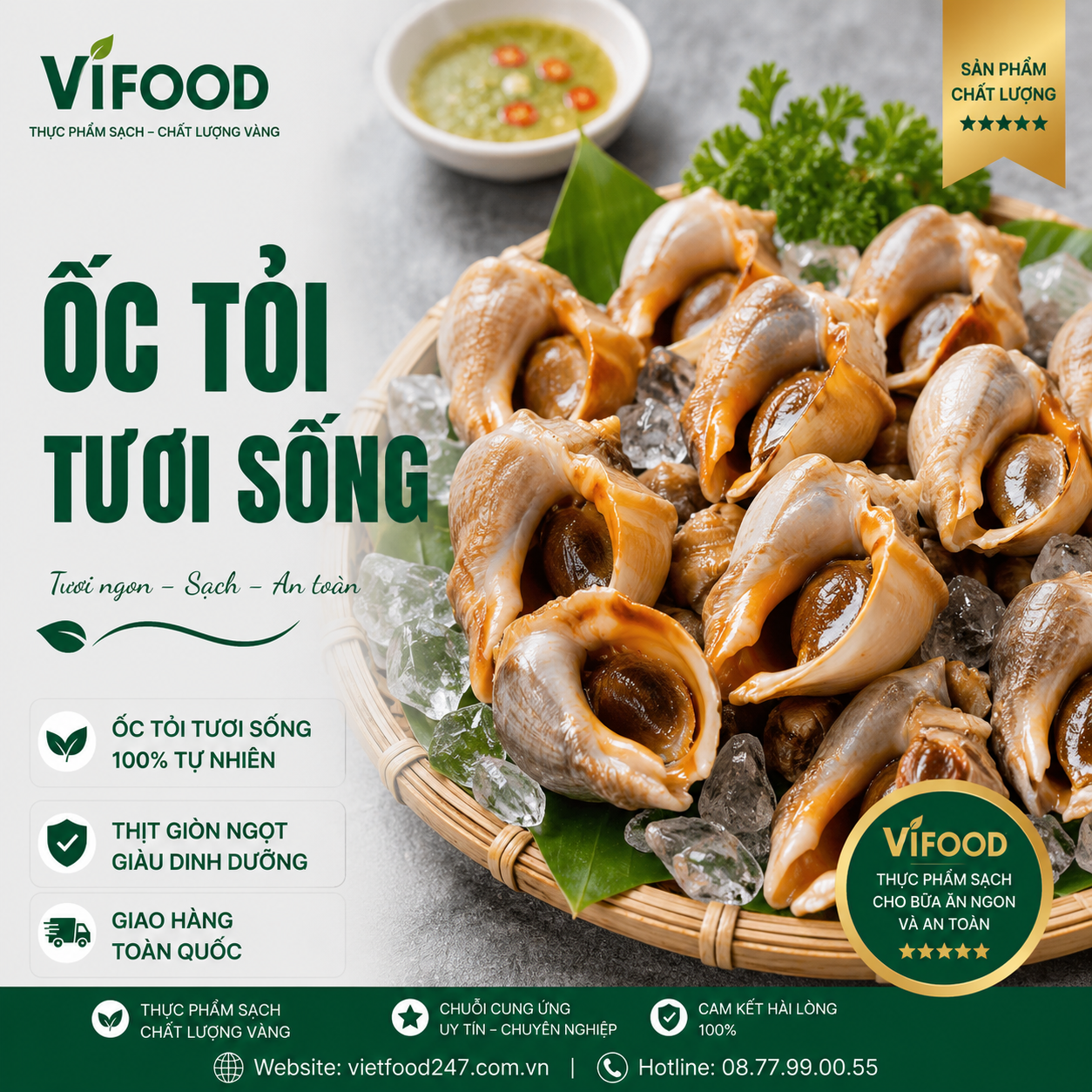Ốc Tỏi Sống