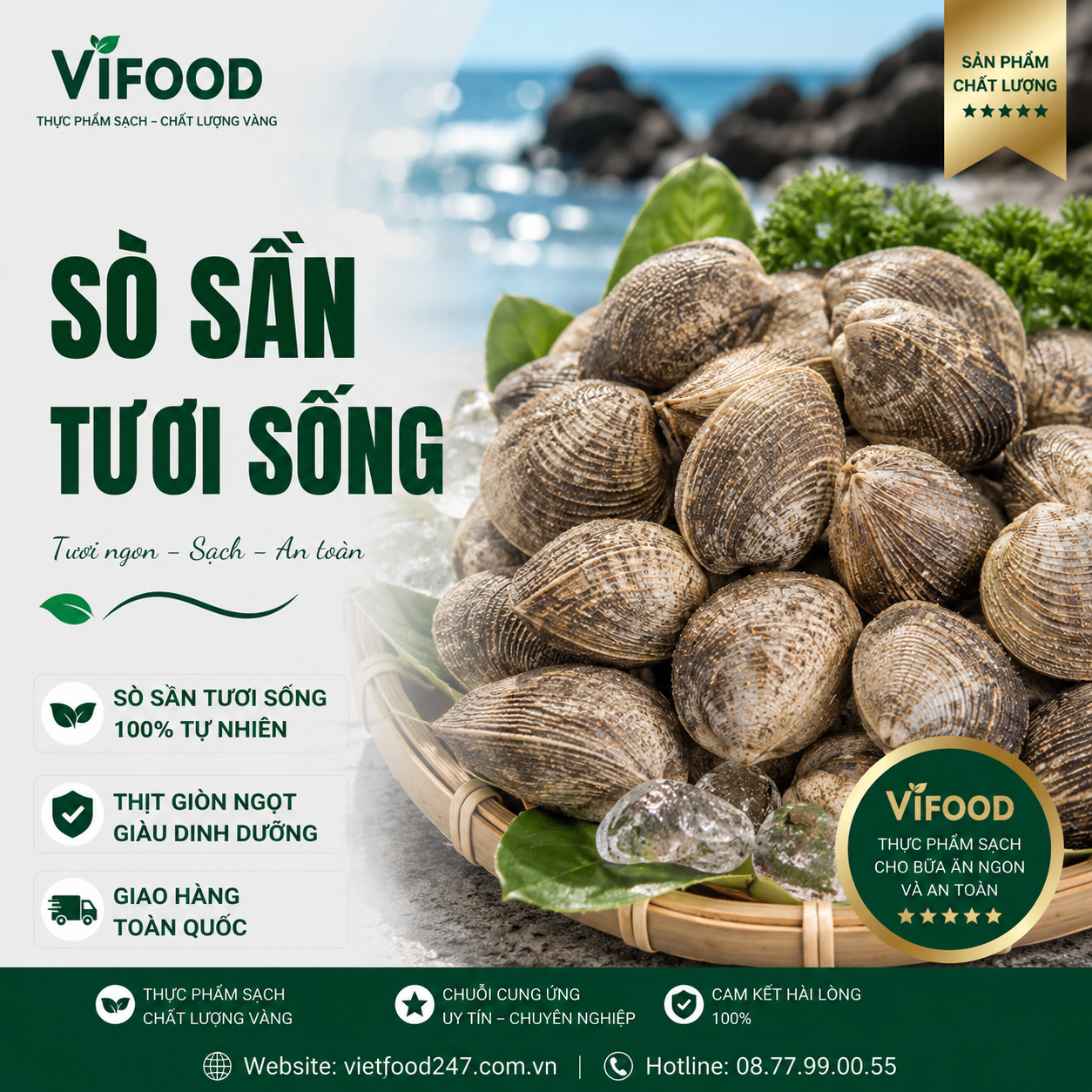 Sò Sần Sống