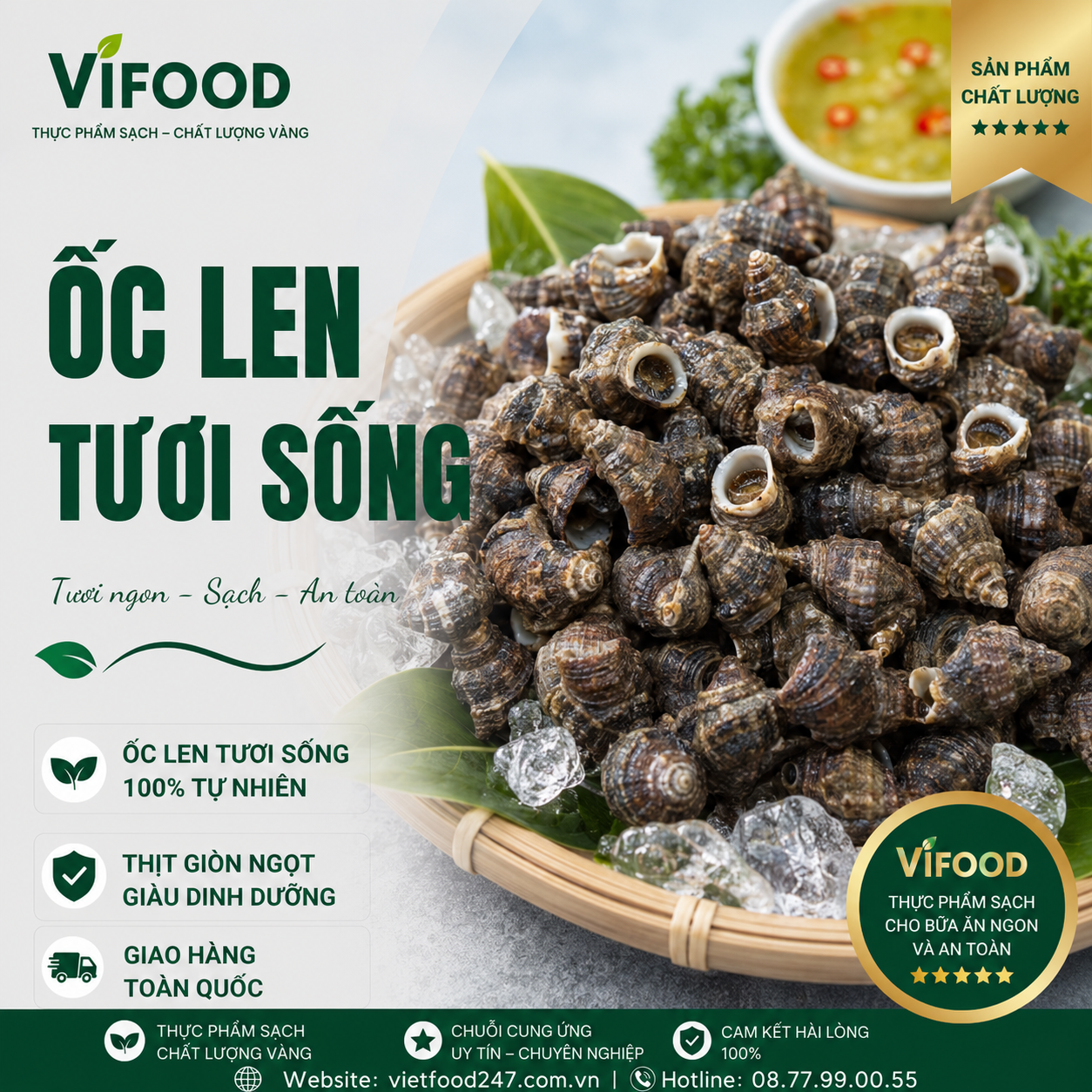 Ốc Len Sống