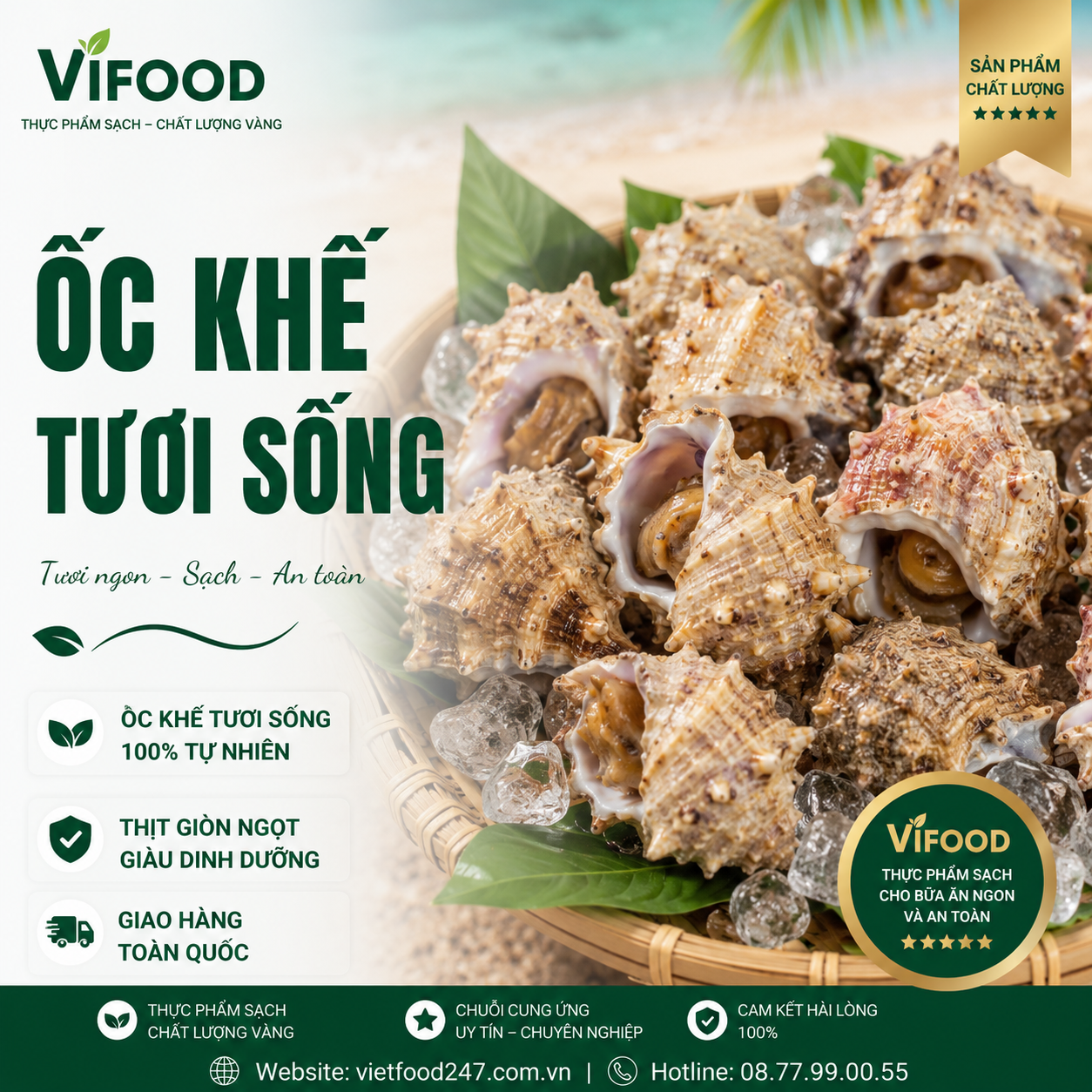 Ốc Kế Tươi Sống