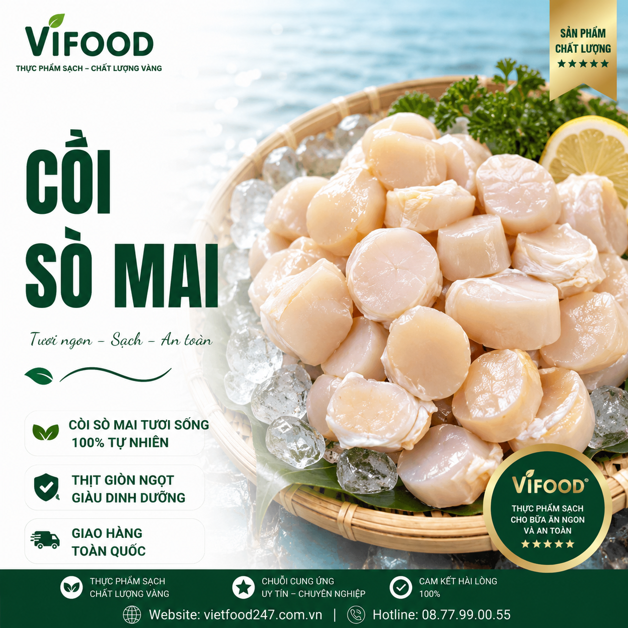 Cồi sò mai