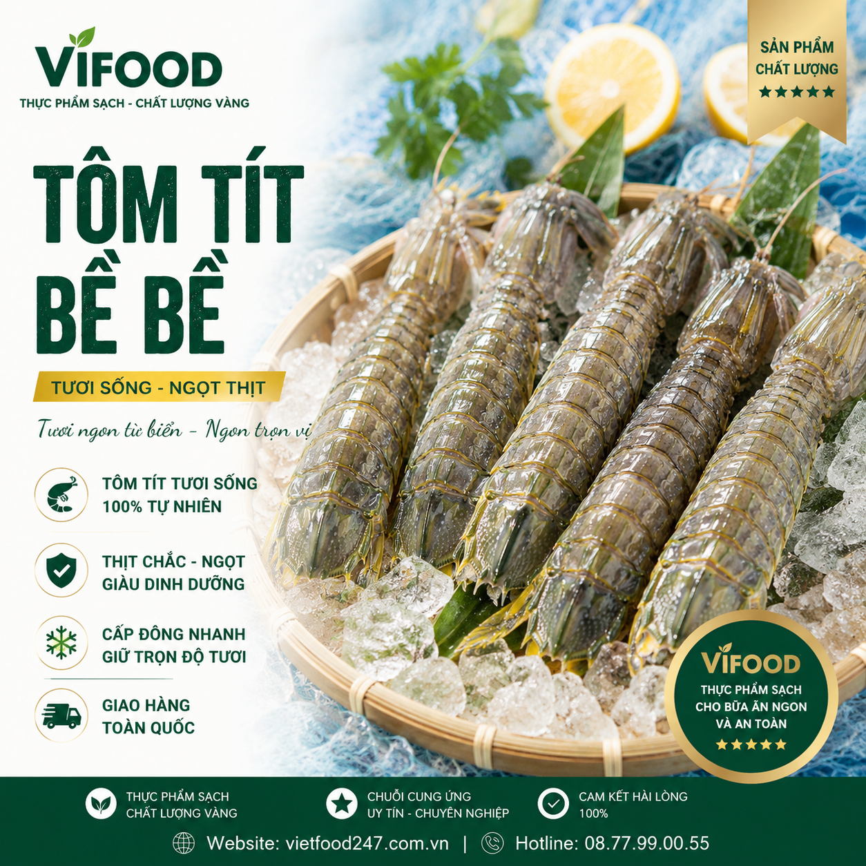 Tôm tít - bề bề