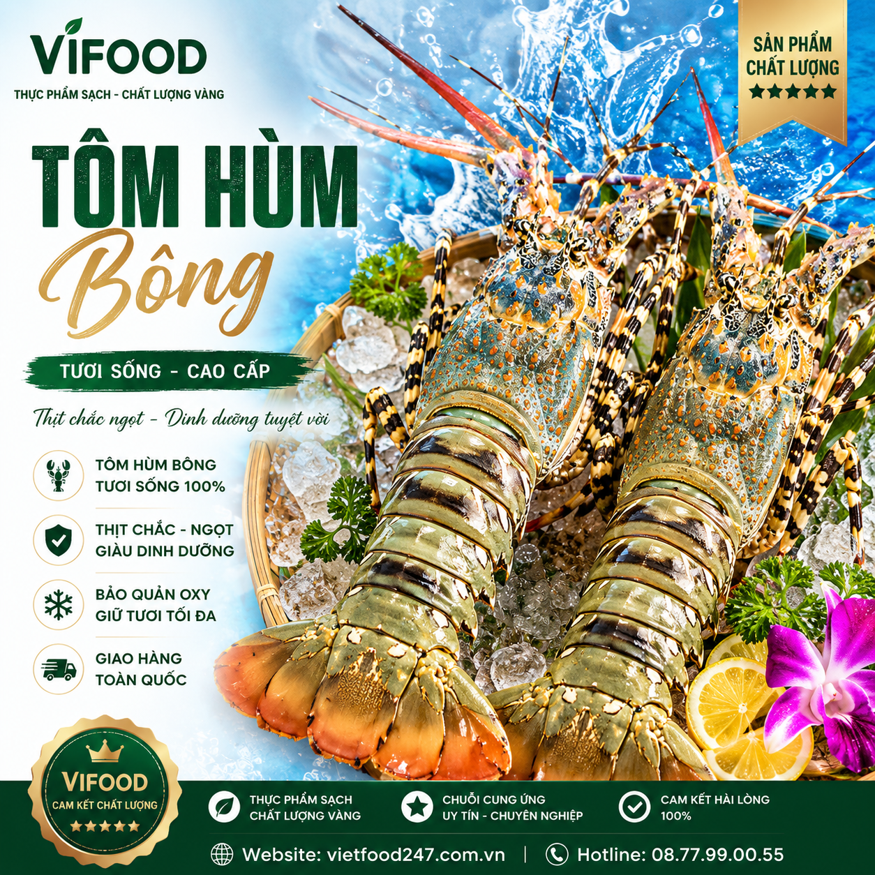 Tôm hùm bông