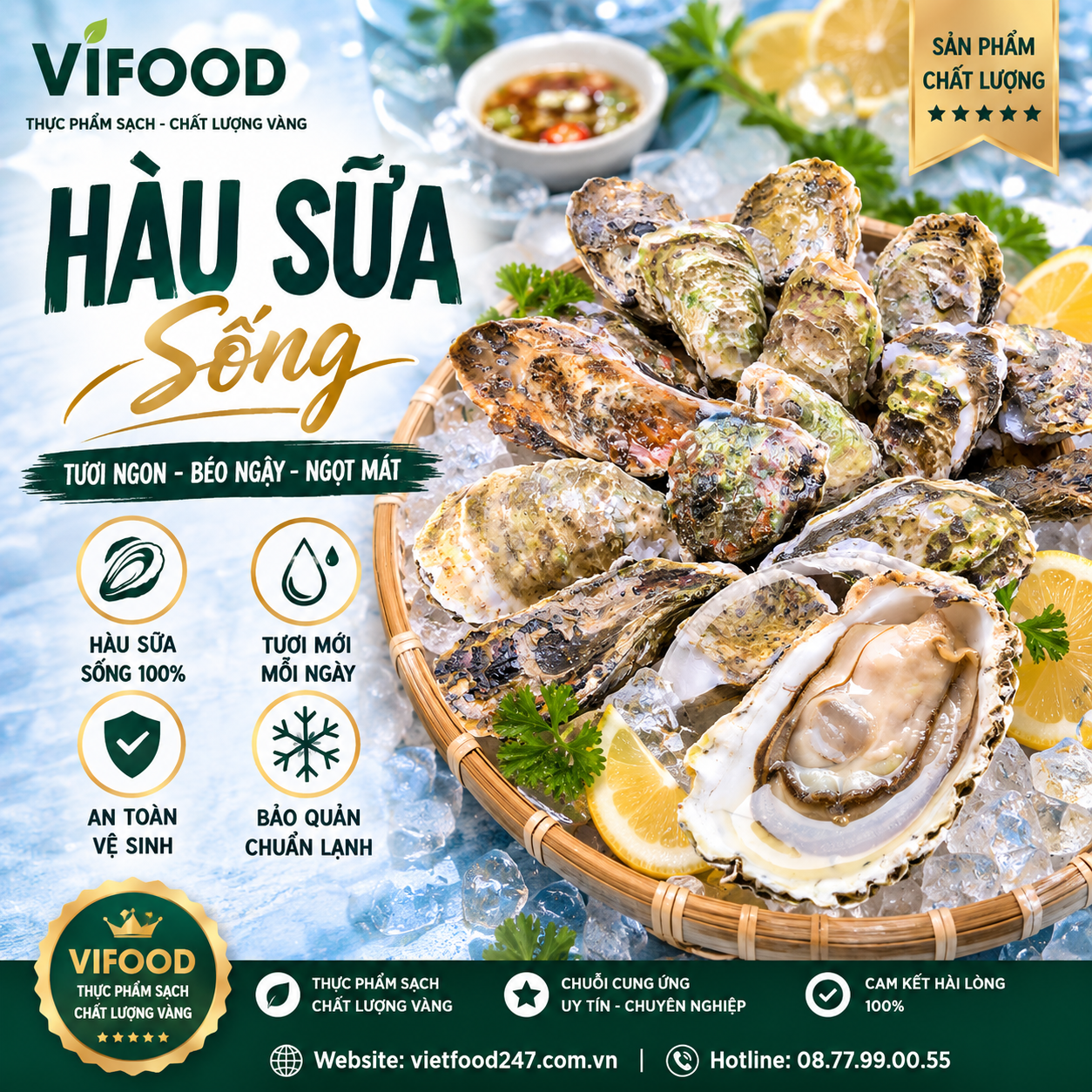 Hàu Sữa Sống