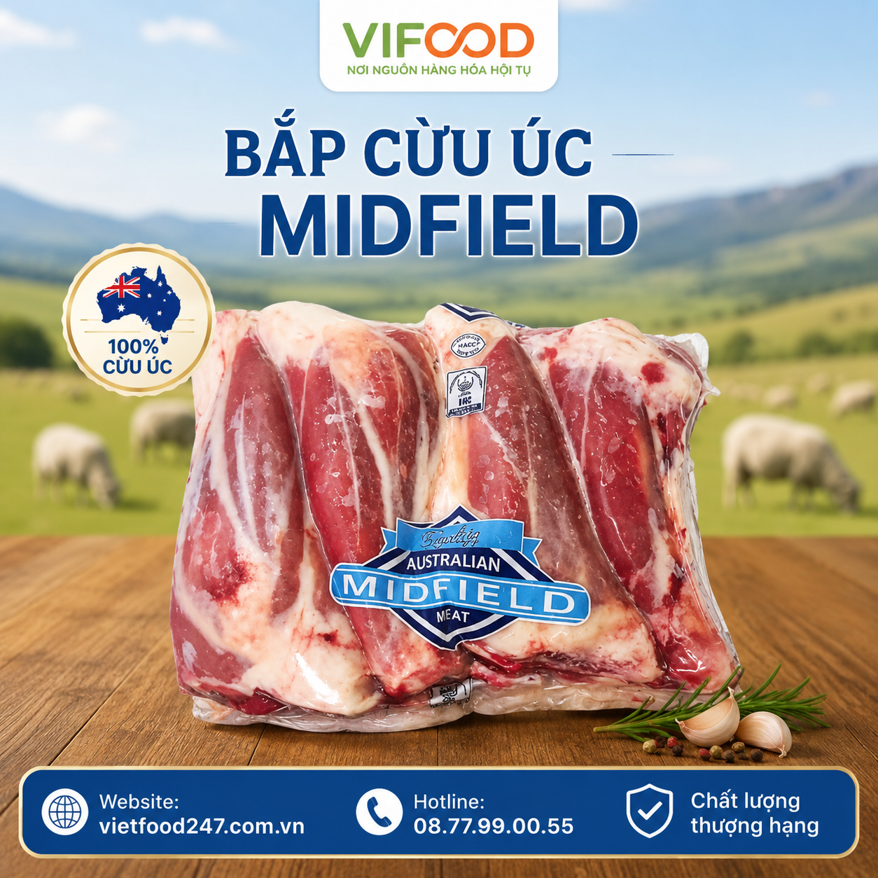 Bắp cừu Úc Midfield 