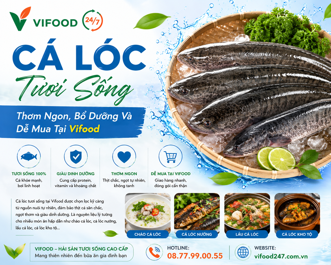 Cá Lóc Tươi Sống: Thơm Ngon, Bổ Dưỡng Và Dễ Mua Tại Vifood
