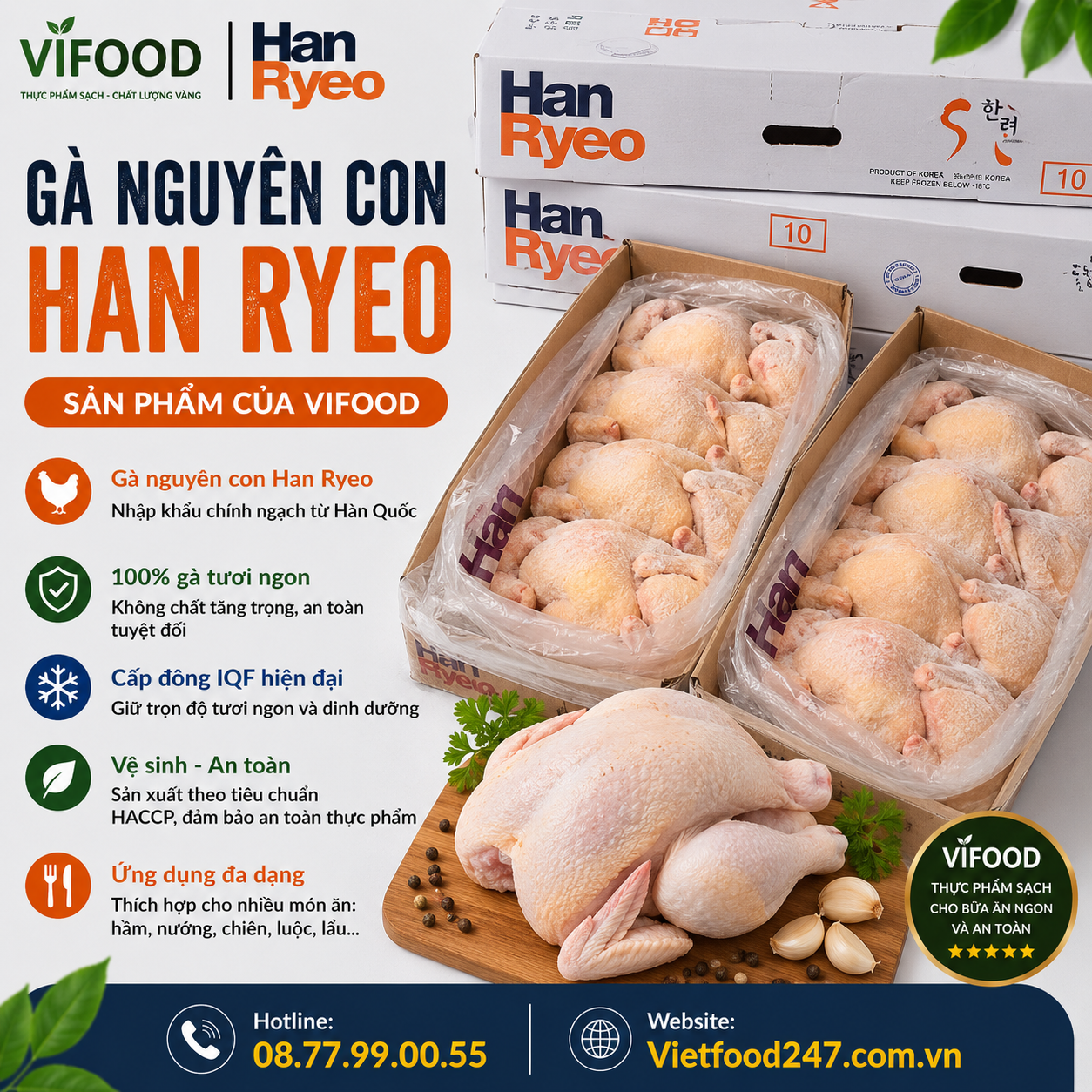 Gà nguyên con Han Ryeo