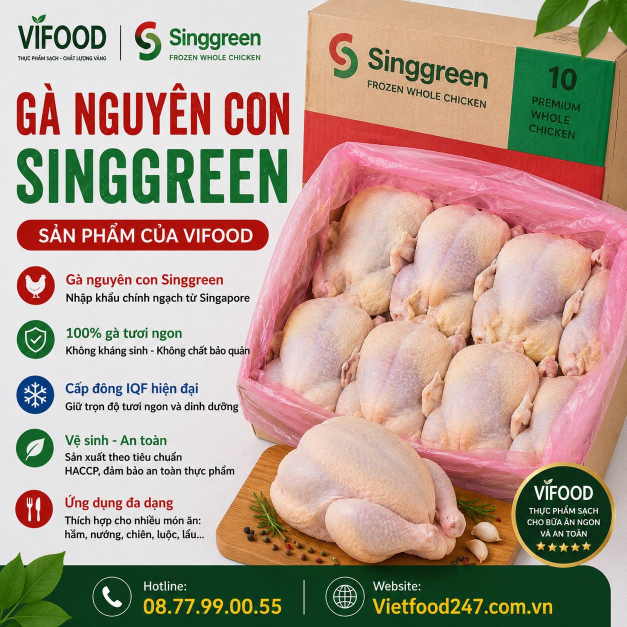 Gà nguyên con Singgreen