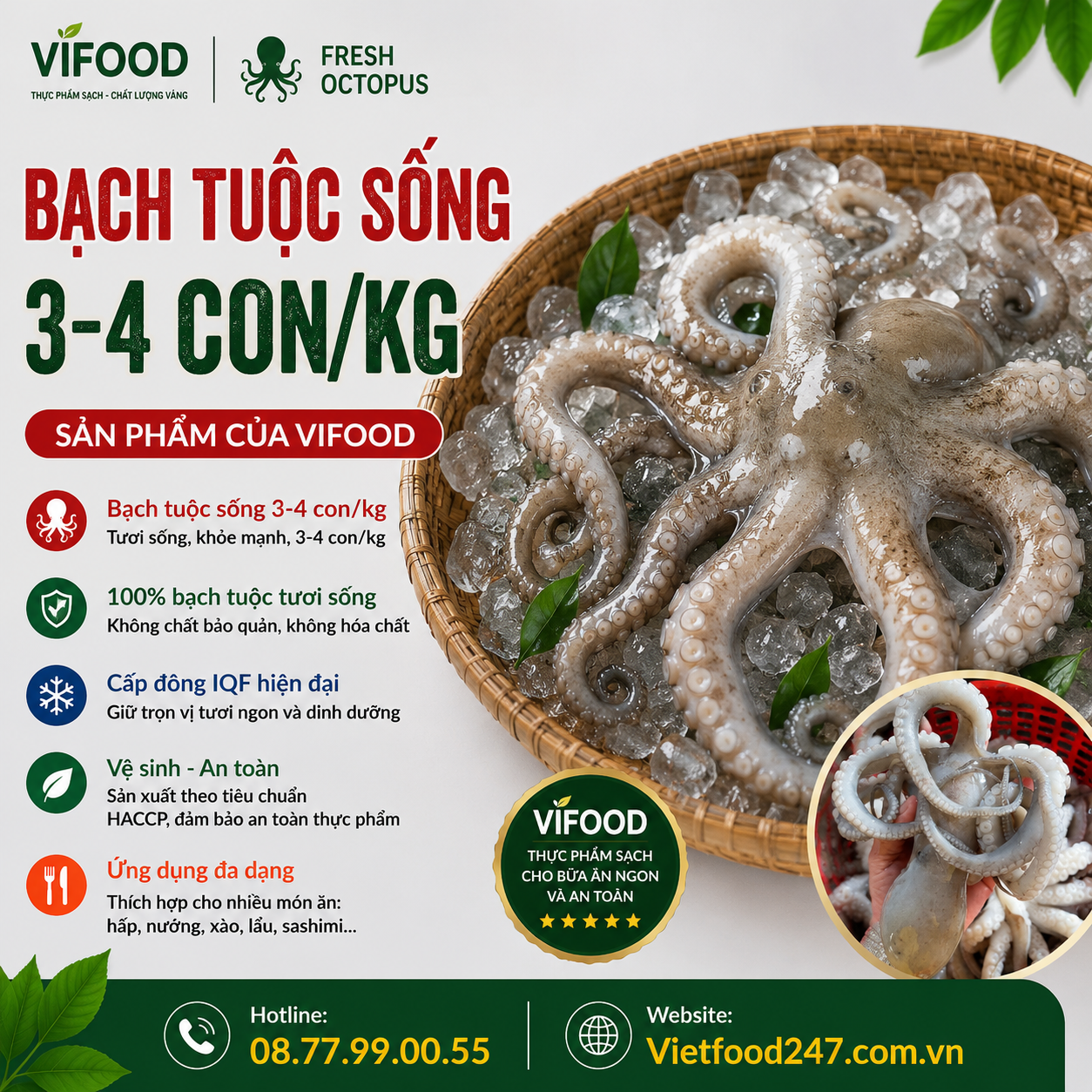 Bạch tuộc sống 3-4 con/kg