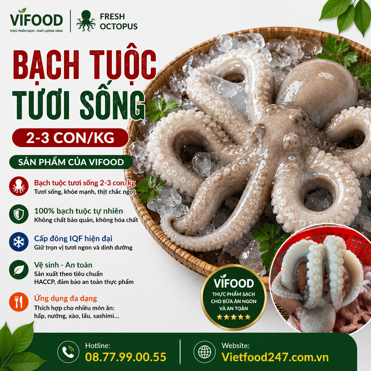 Bạch tuộc tươi sống 2-3 con/kg