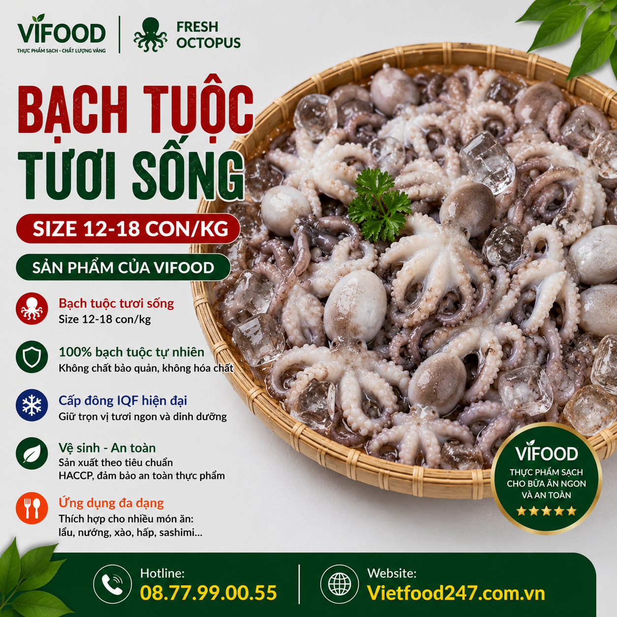 Bạch Tuộc (Size 12-18 Con/ Kg)