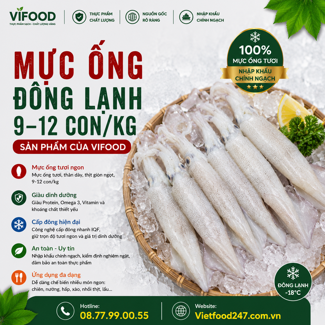 Mực ống đông lạnh 9-12 con/kg