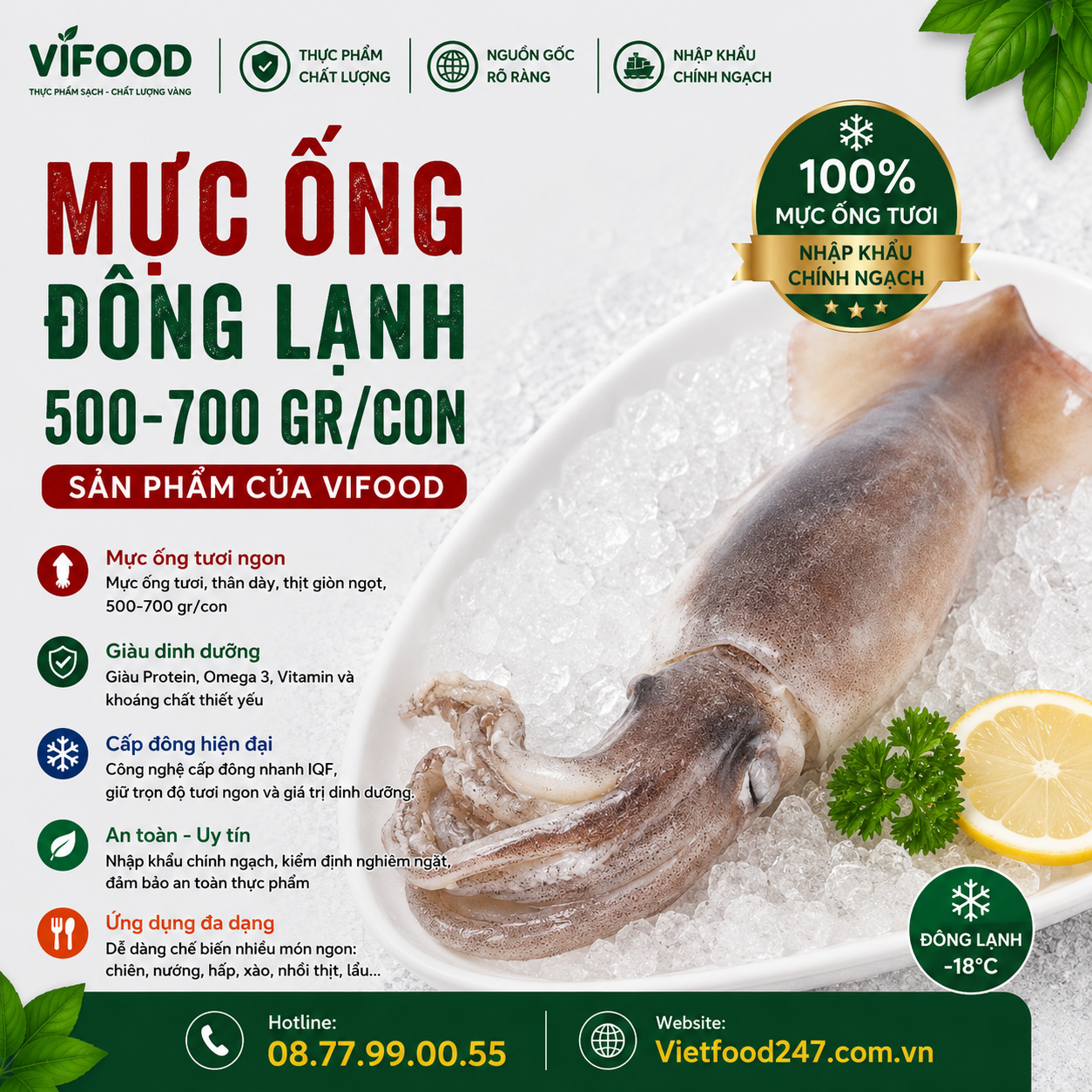 Mực ống đông lạnh 500-700 gr/con