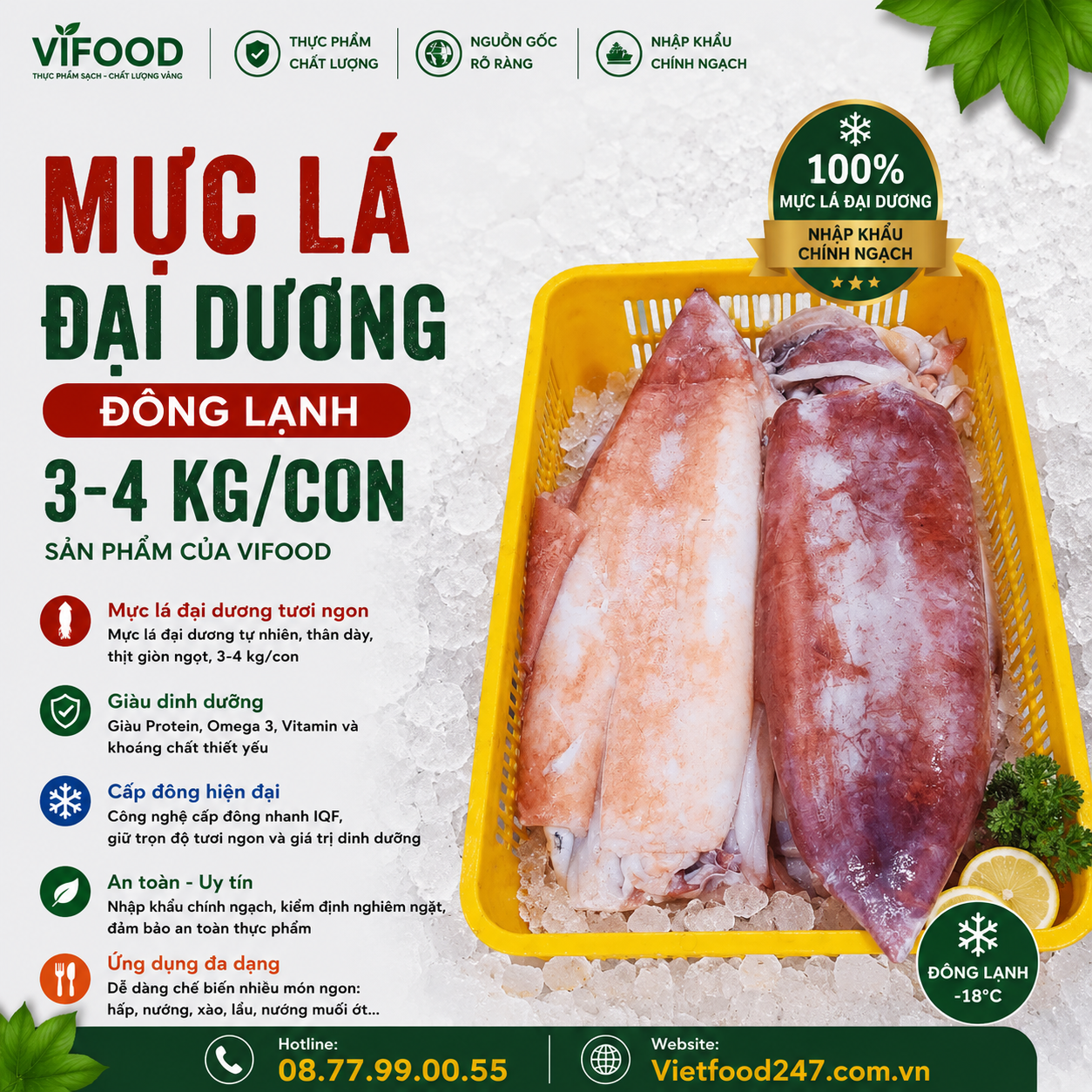 Mực lá đại dương đông lạnh 3-4 kg/con