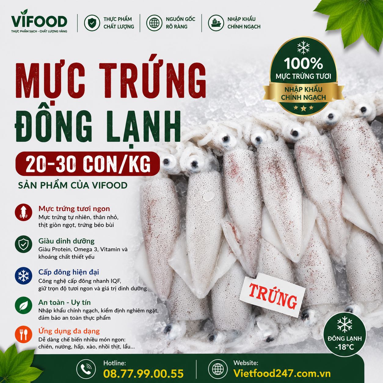 Mực trứng  đông lạnh 20-30 con/kg