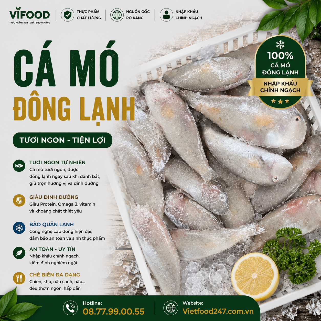 Cá Mó Đông Lạnh