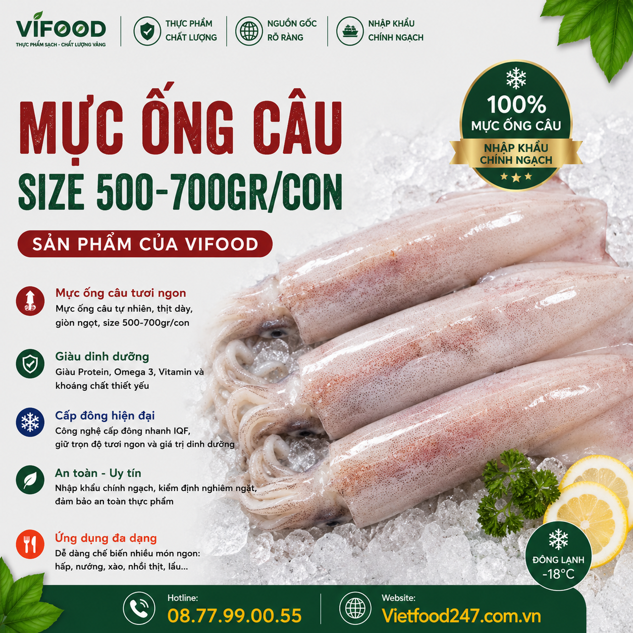 Mực ống câu 500-700 gr/con