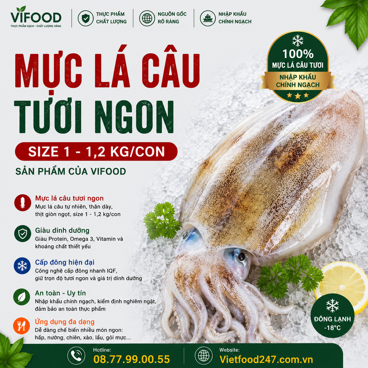 Mực lá câu tươi 1 - 1,2 kg/con