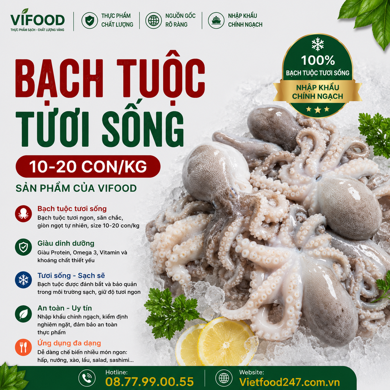 Bạch tuộc tươi sống 10-20 con/kg